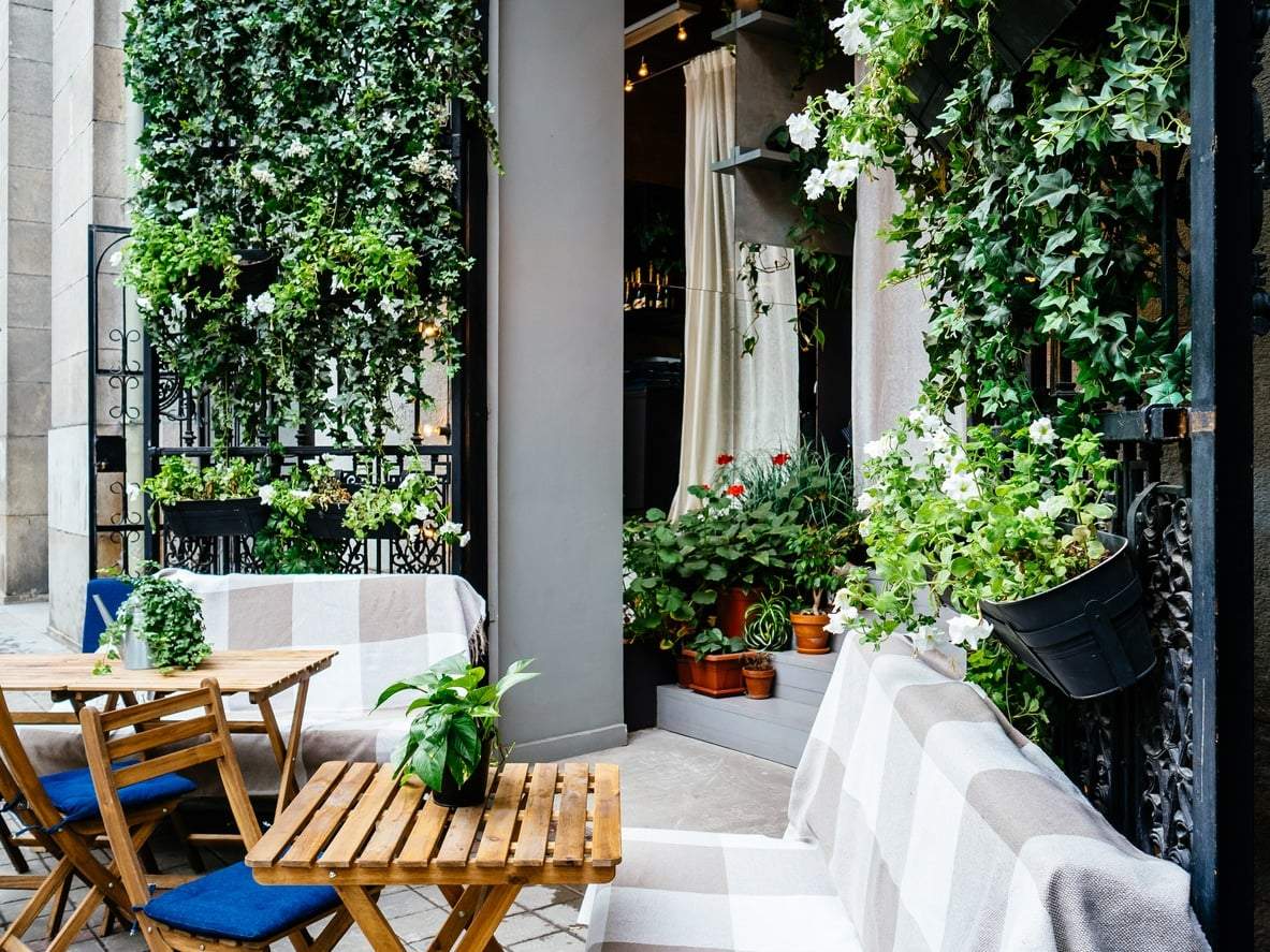 Mondgärten erobern das Netz: So gestaltest du deinen eigenen Garten mit nachts blühenden Pflanzen — Garten & Terrasse