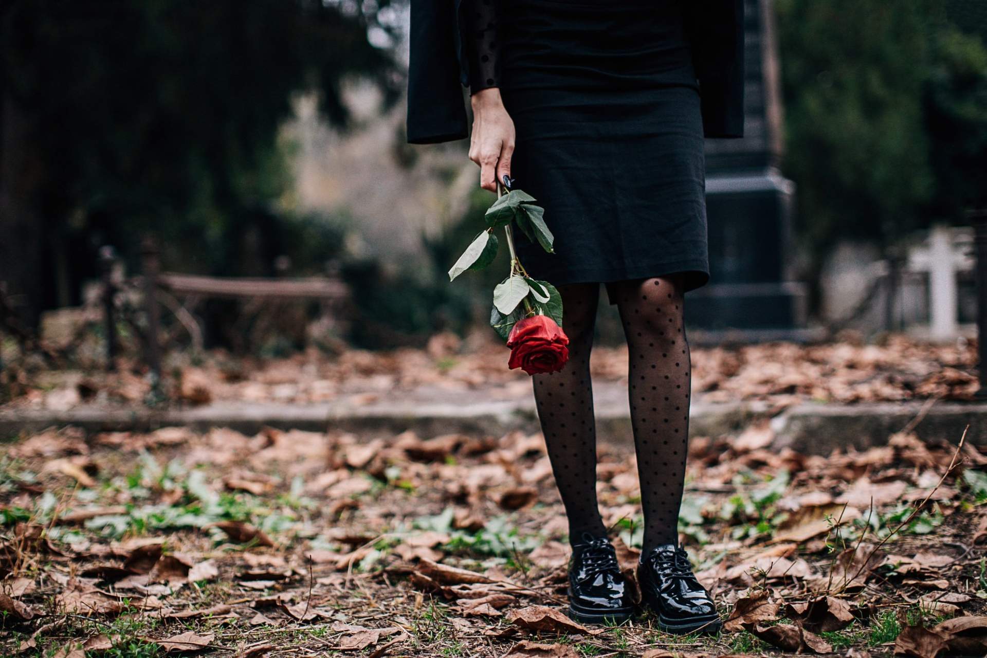 7 fiori simbolici da deporre sulla tomba per onorare i nostri cari — Famiglia