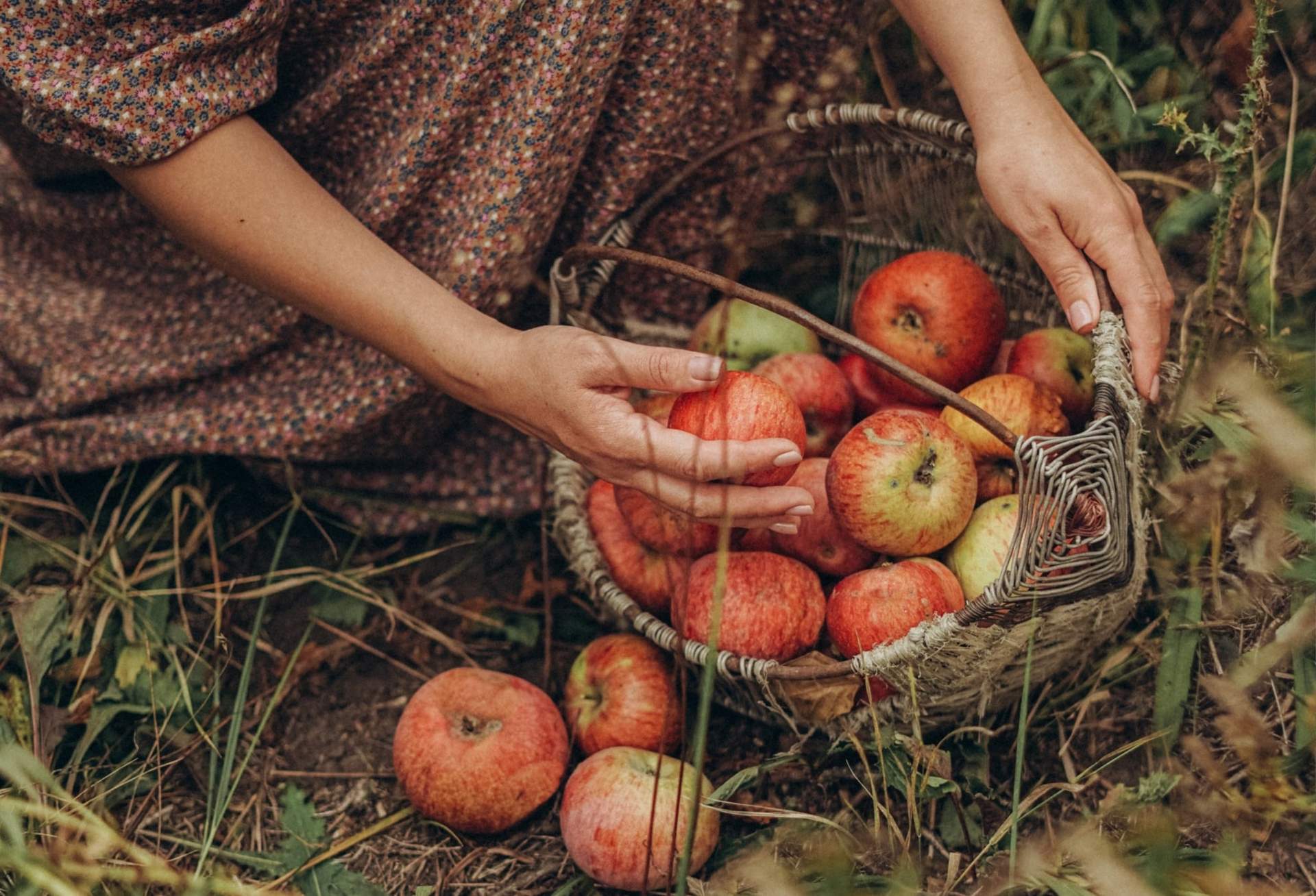 Non conoscono il cancro: 8 abitudini alimentari di popoli naturali — Lifestyle