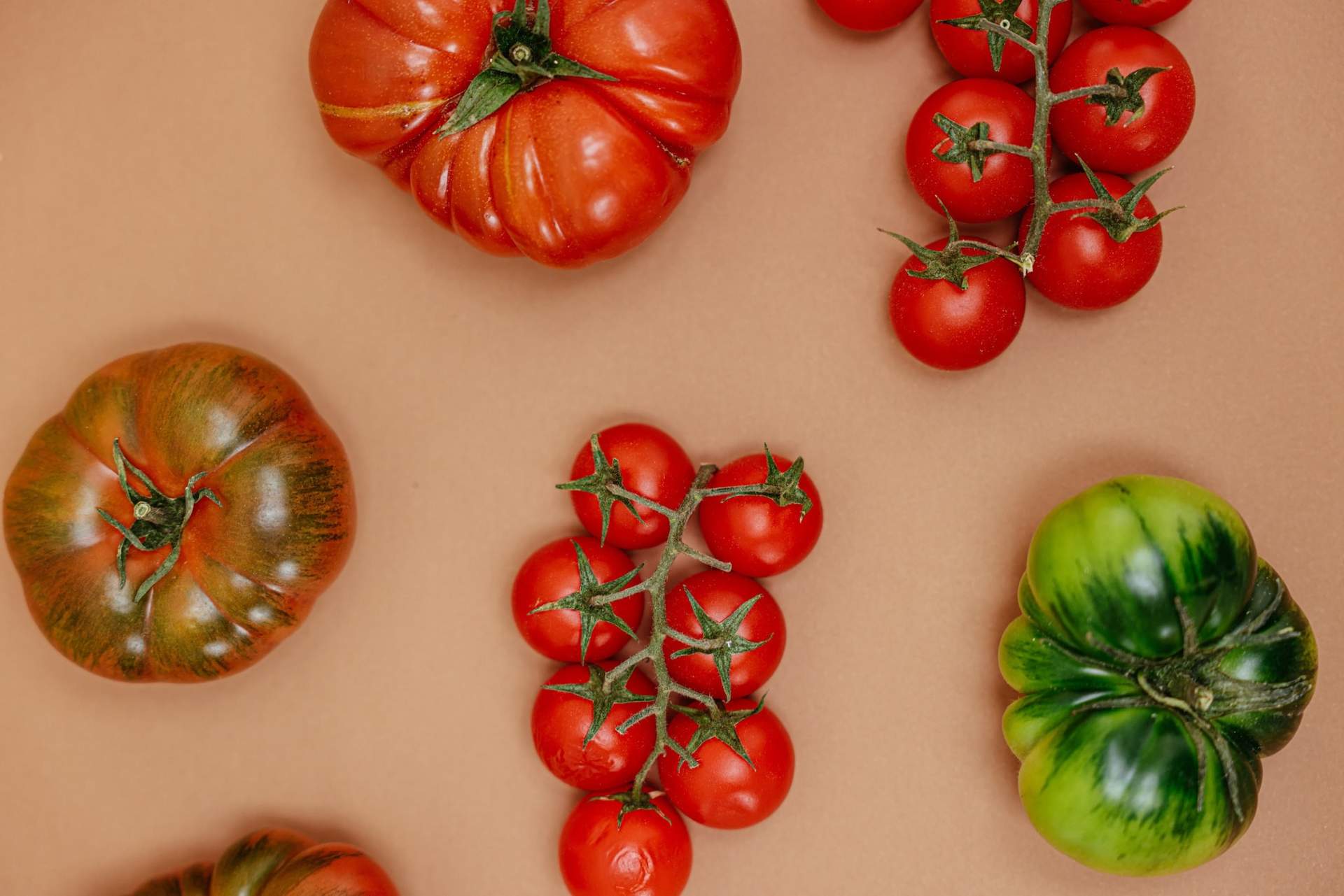 Troppi pomodori? Così rimangono deliziosi anche congelati — Lifestyle
