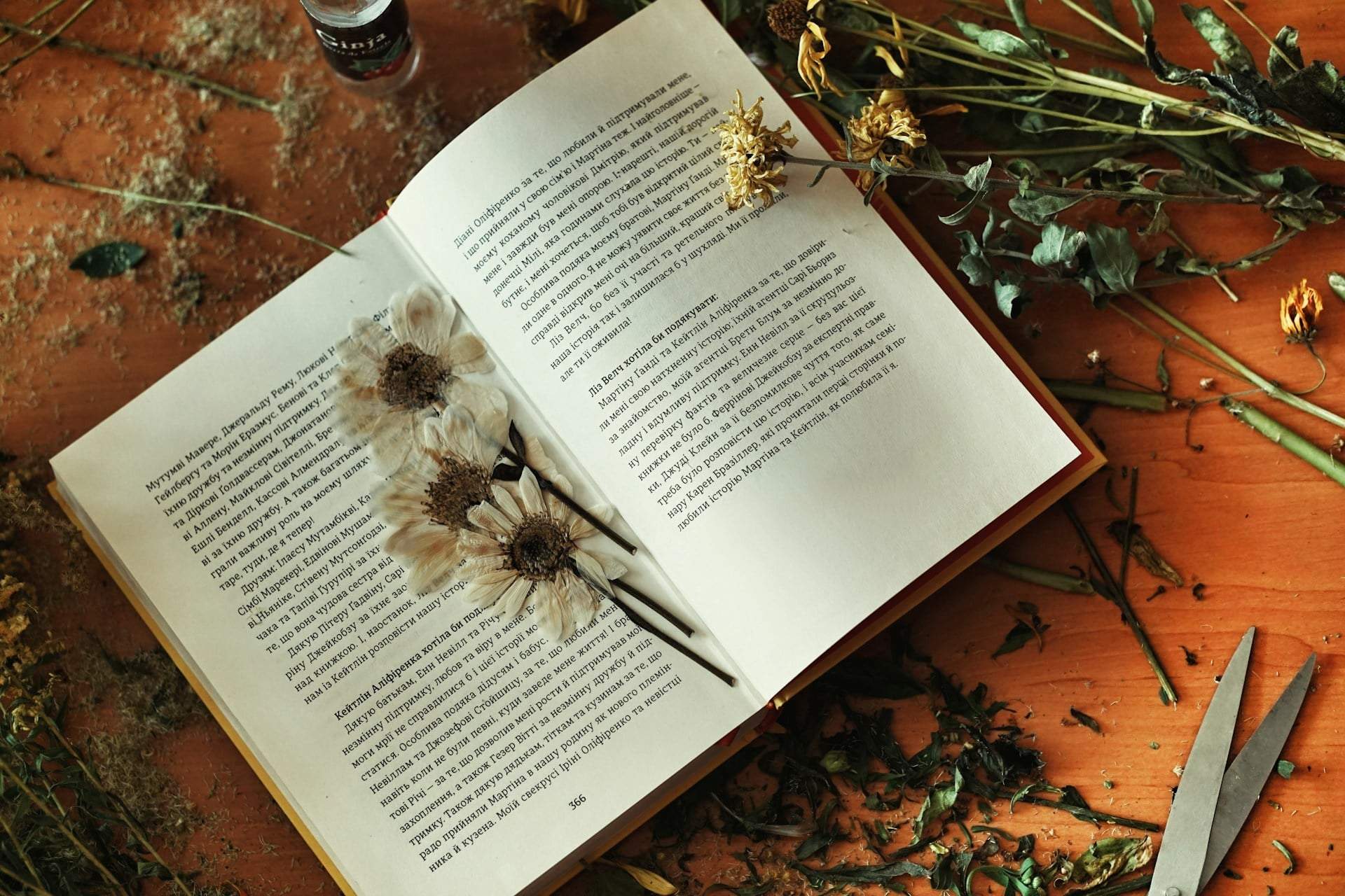 Souvenirs en fleurs : comment créer de magnifiques décorations avec des plantes pressées — Décoration