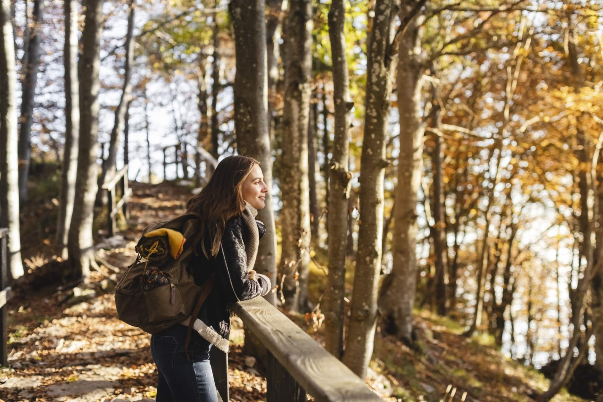 5 hermosos bosques húngaros para visitar en otoño — Ocio