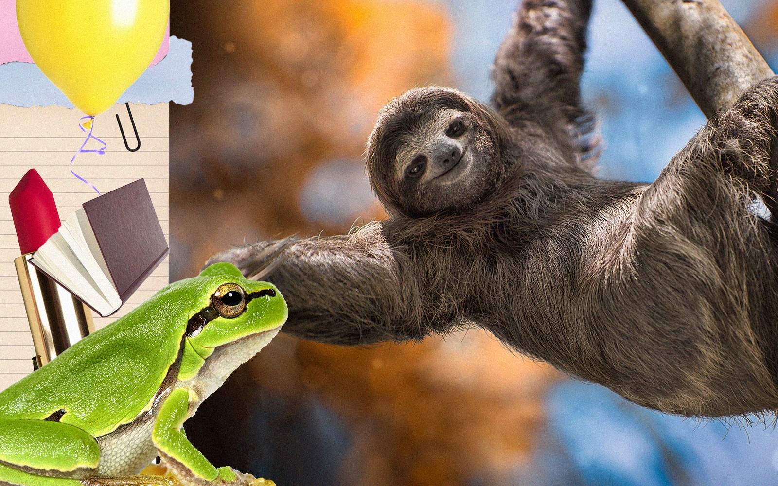 « La pomme de terre verte peut tuer » – 10 faits étranges mais vrais qui vont vous épater — Loisirs