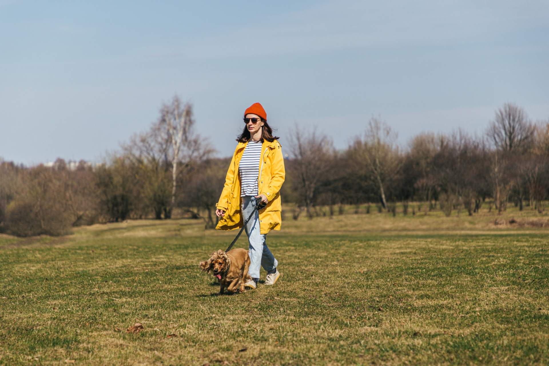 ¿Paseas a tu perro justo después de comer? Este error puede costarle la vida — Familia