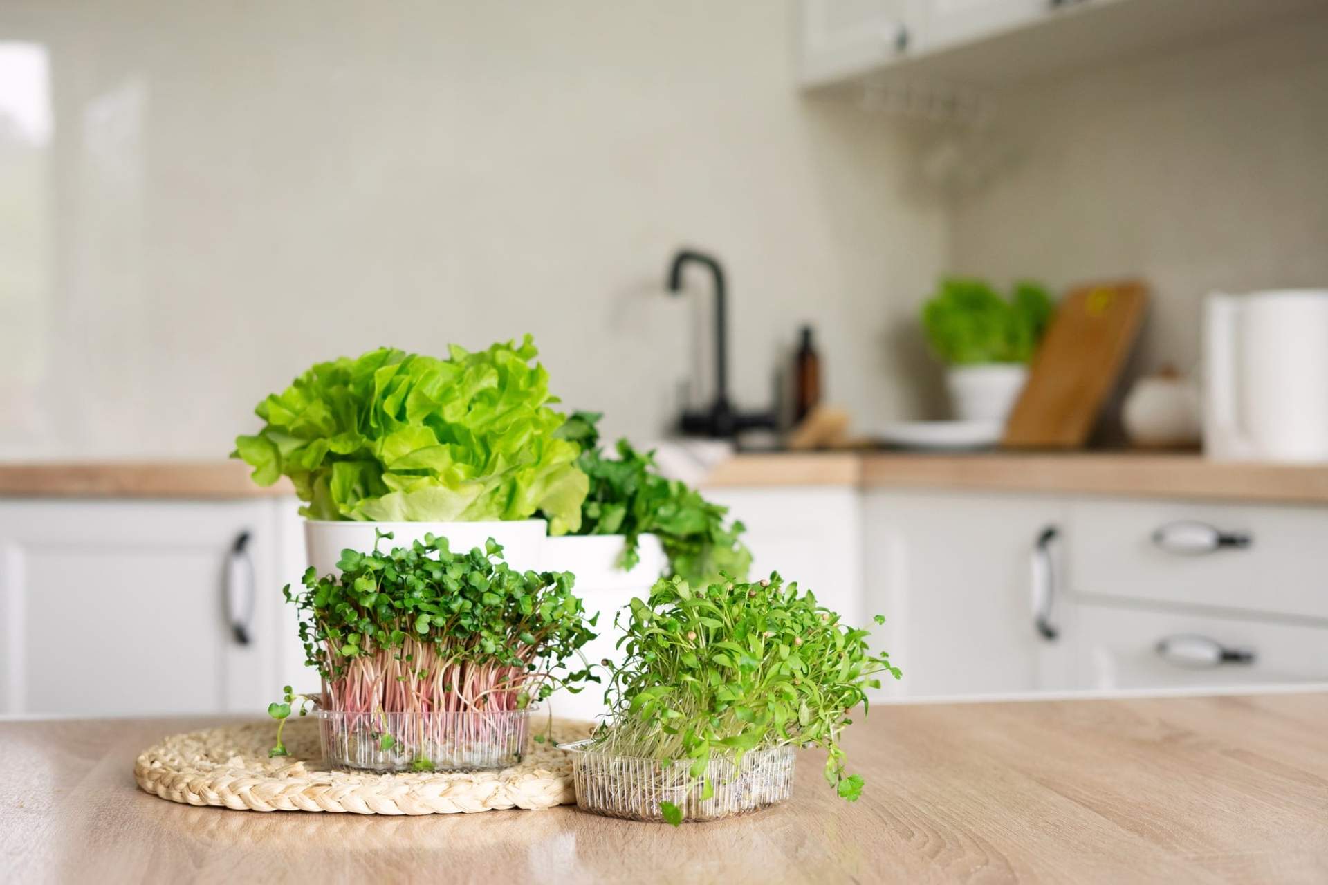 Veggies That Come Back to Life in Water – How to Store Them in Your Fridge — Lifestyle