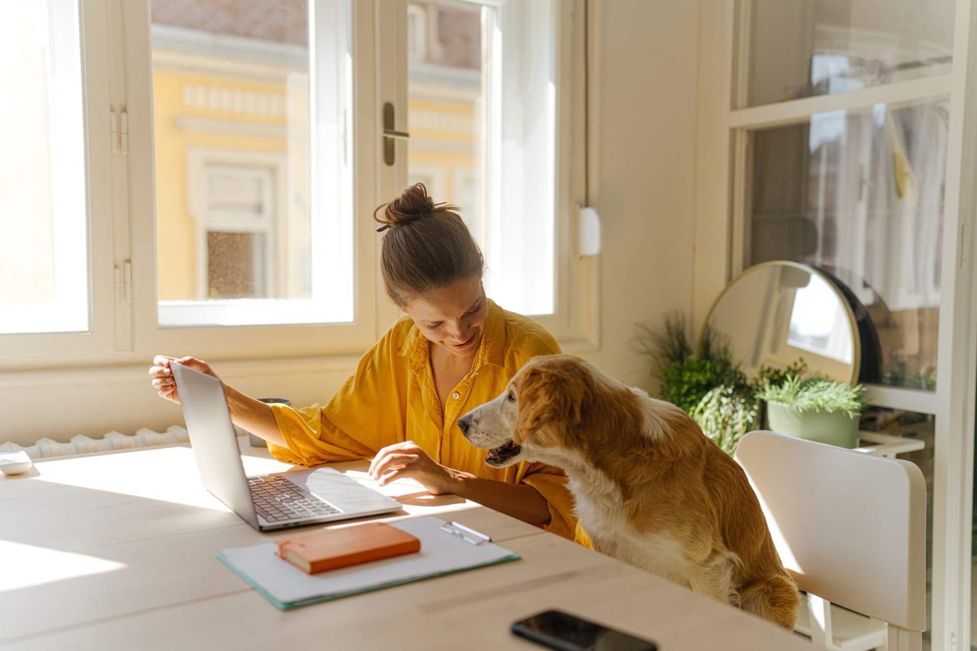 Adventurous or Cuddly? What Your Dog’s Zodiac Sign Reveals About Them — Lifestyle