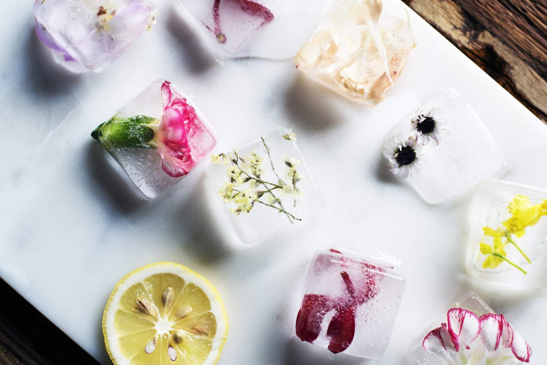 5+1 überraschende Ideen, wie du deinen Eiswürfelbehälter nutzen kannst — Haushalt