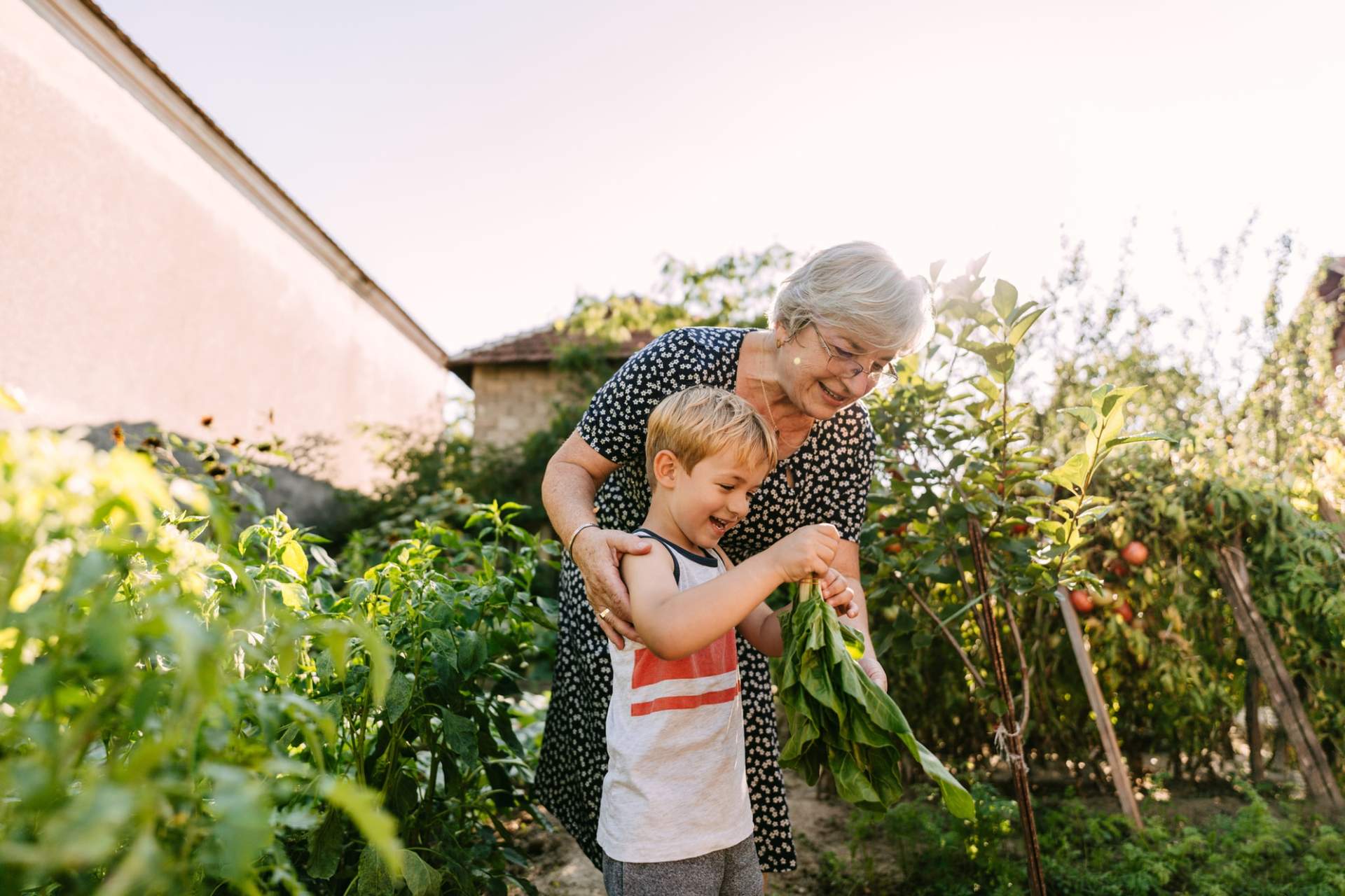 The Secret Bond Between Grandmothers and Grandchildren – Why Is Their Connection So Strong? — Family