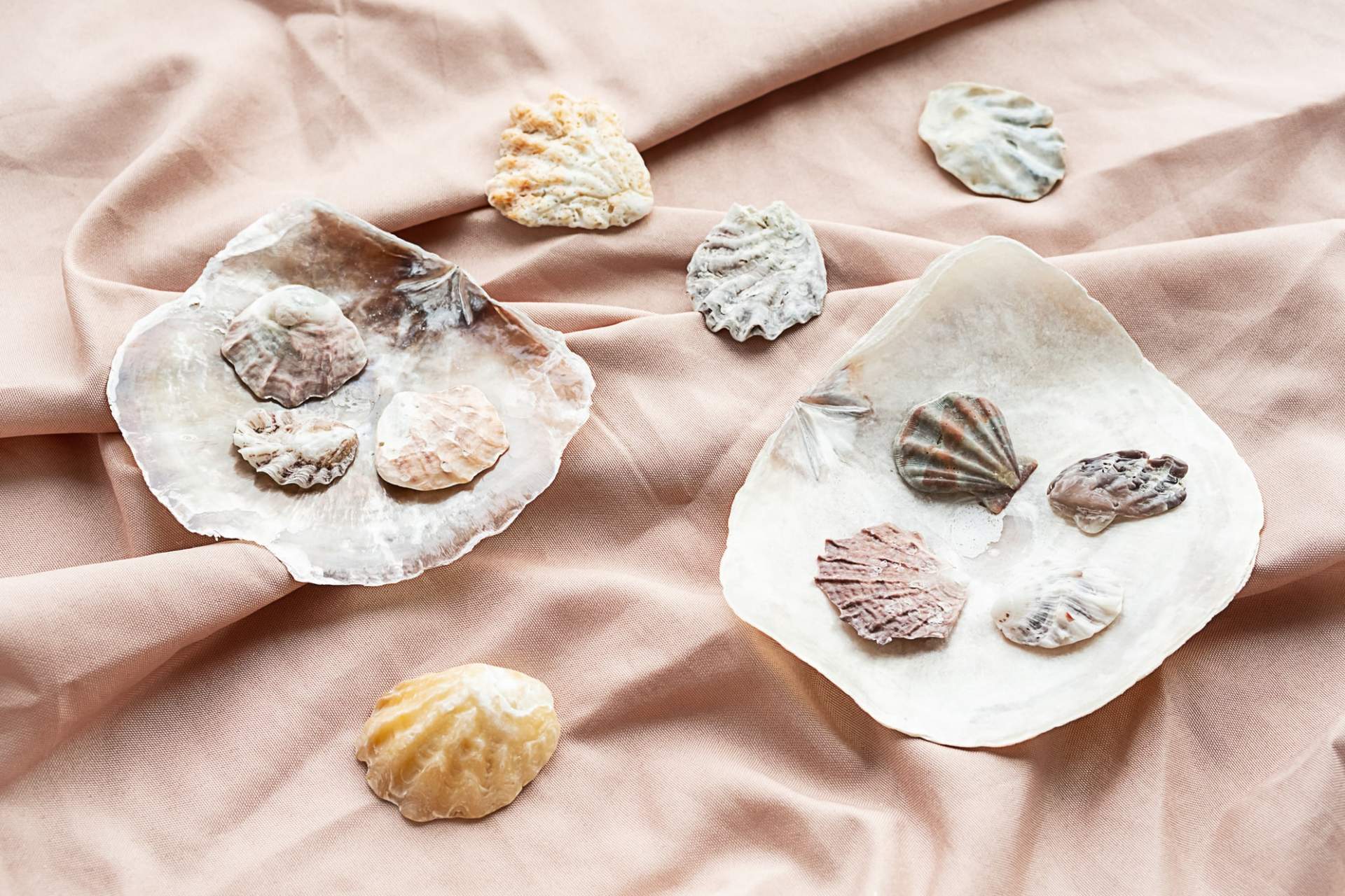 Creative Ways to Use Seashells Collected on Vacation – 5 Tips — Hobby