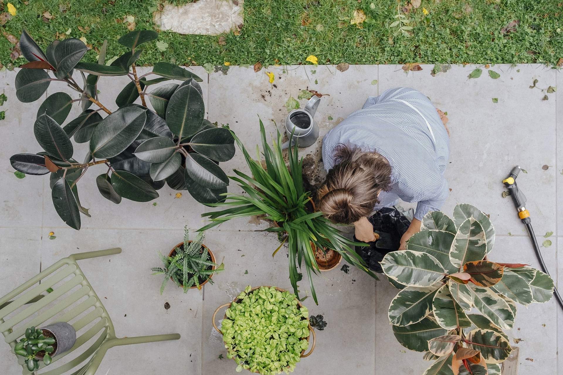 Darauf solltest du achten, wenn du Kaffeesatz in Blumenerde gibst — Garten & Terrasse