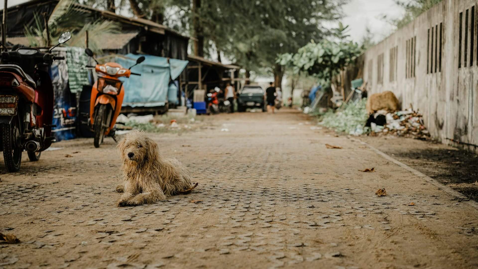 “Quando beveva l’acqua del rubinetto, il mio cuore si fermava” – Persone cresciute in paesi poveri, qual è stata la cosa più sorprendente in Occidente? — Tempo libero
