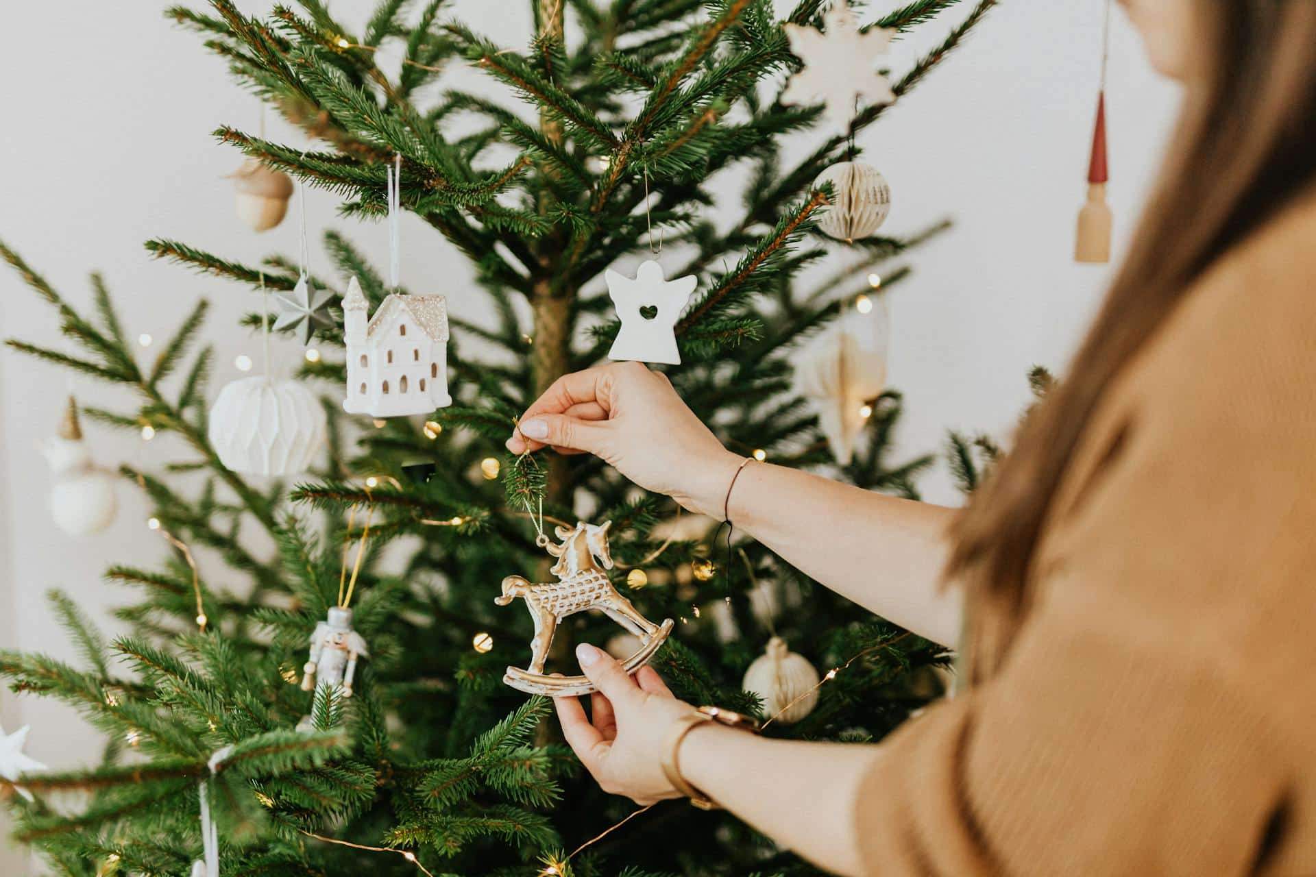Le sapin artificiel, une mauvaise idée ? Ce sapin a la plus petite empreinte écologique — Décoration
