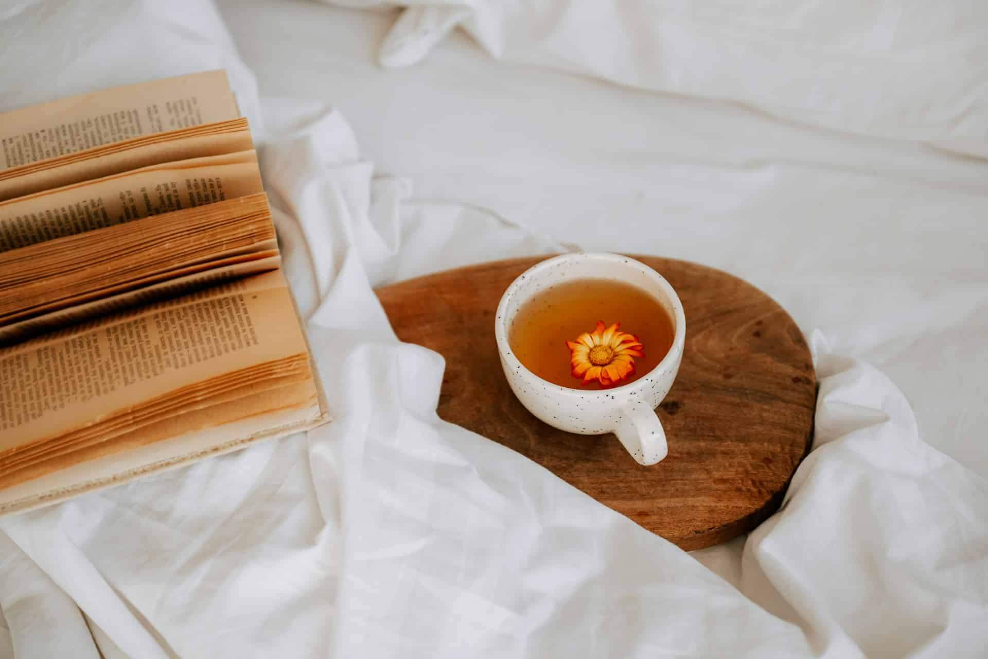 3 tisanes efficaces contre l’anxiété – Un must pour la fin d’année ! — Santé