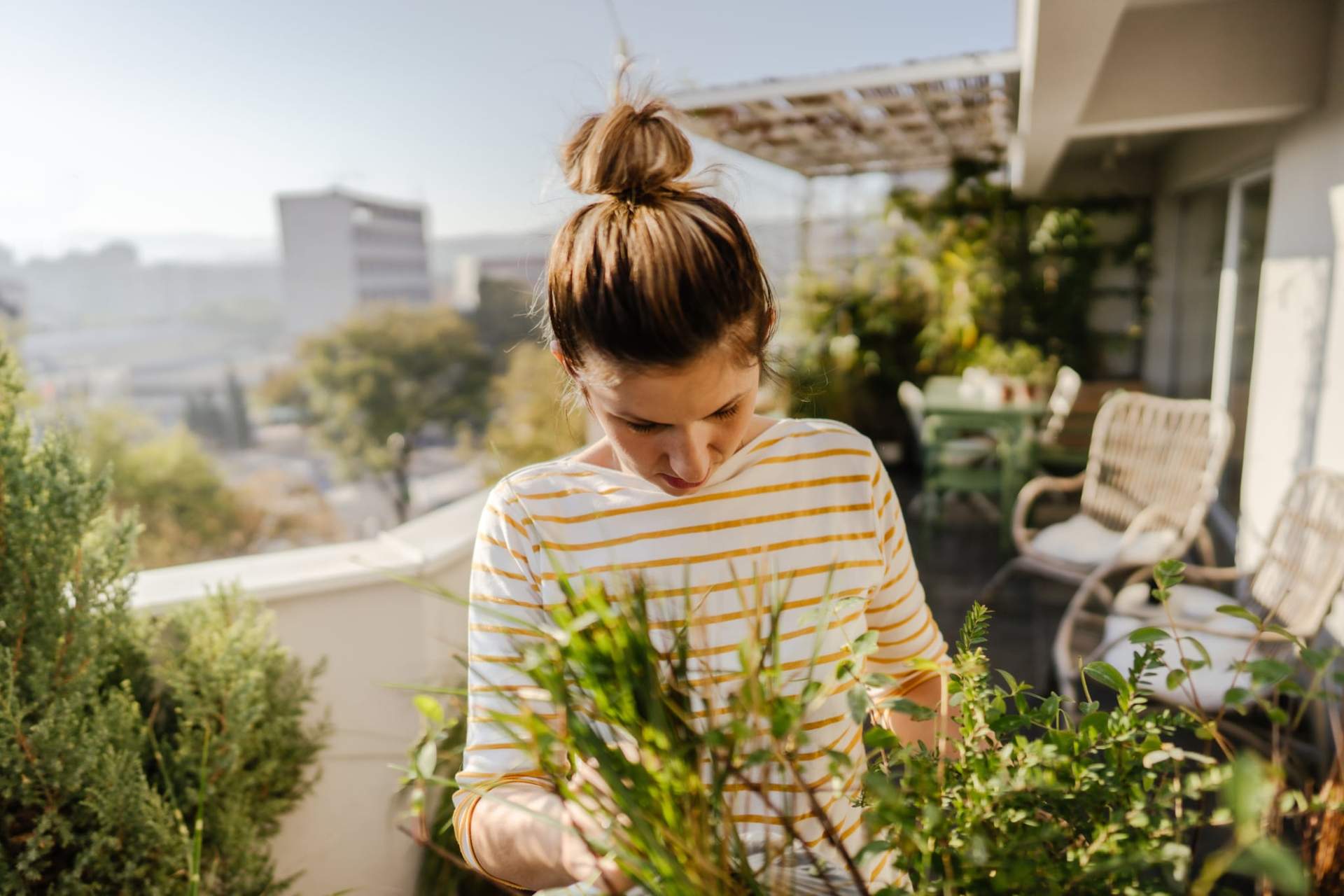 Un jardín bonito con poco esfuerzo: 4 consejos para lograrlo — Jardín y terraza