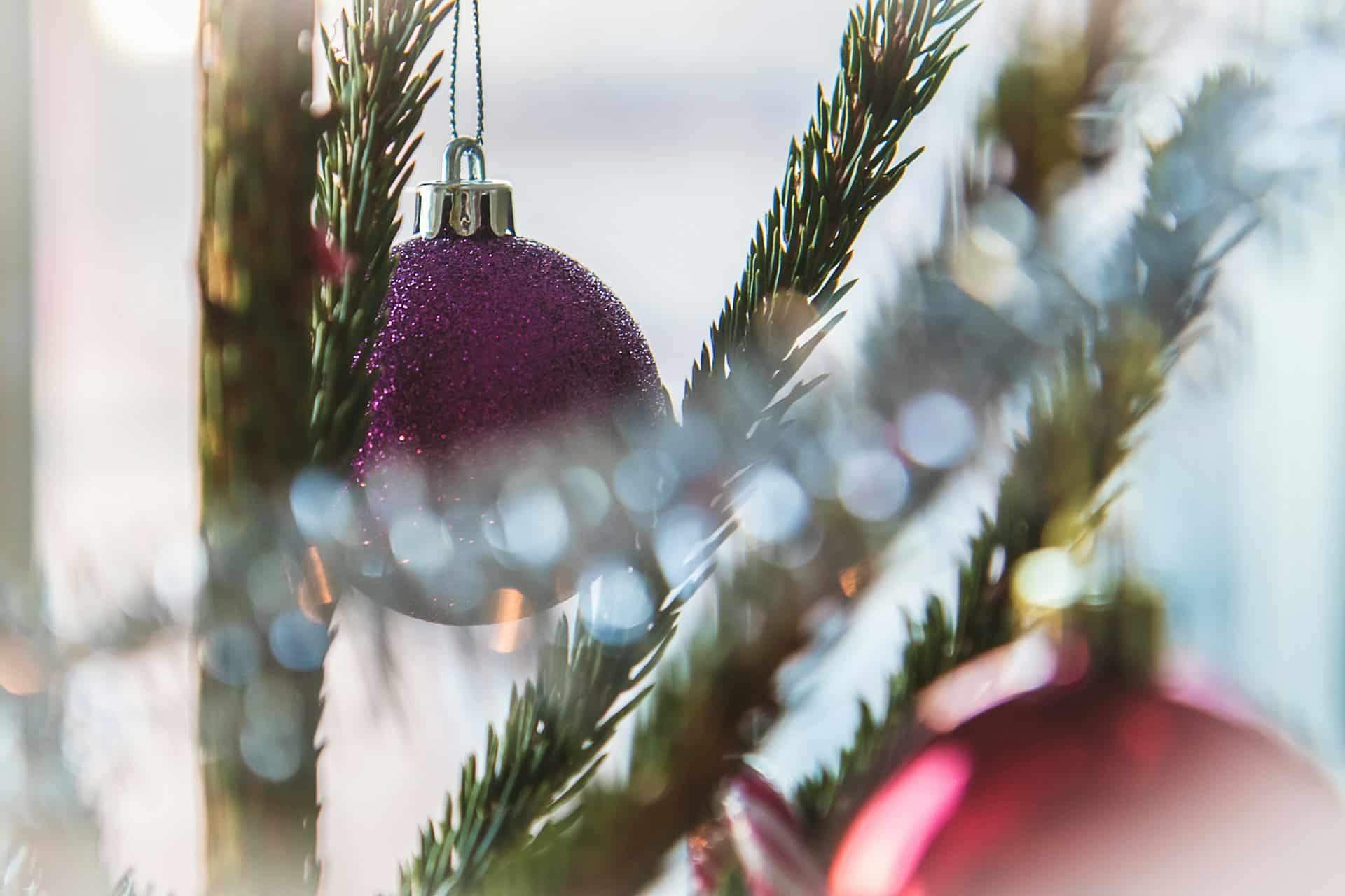 So kannst du deinen trocknenden Weihnachtsbaum sinnvoll weiterverwenden — Haushalt