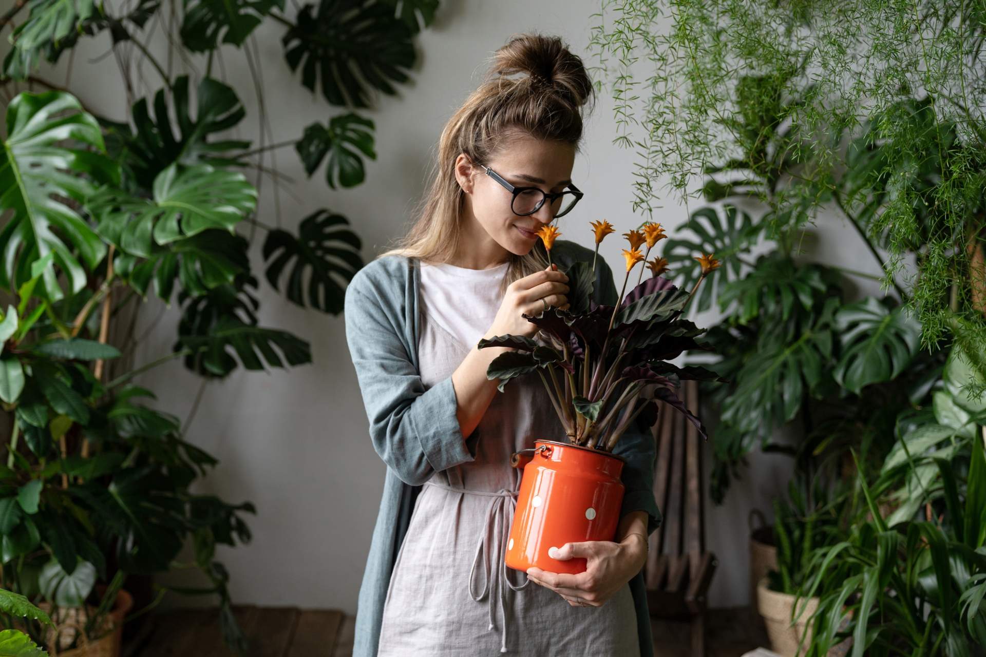 5 groß werdende Zimmerpflanzen, die du wie ein Familienmitglied lieben wirst — Garten & Terrasse