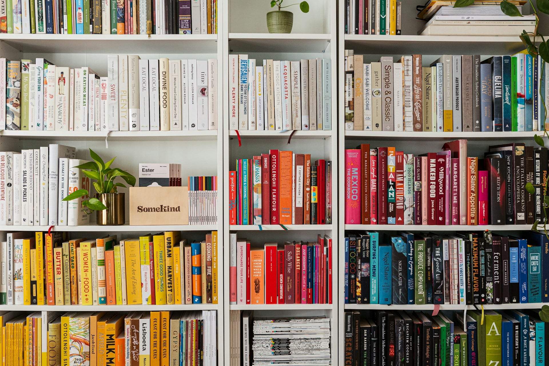 So wird dein Bücherregal zum Magazin-Highlight: Kreative Deko-Tricks — Deko