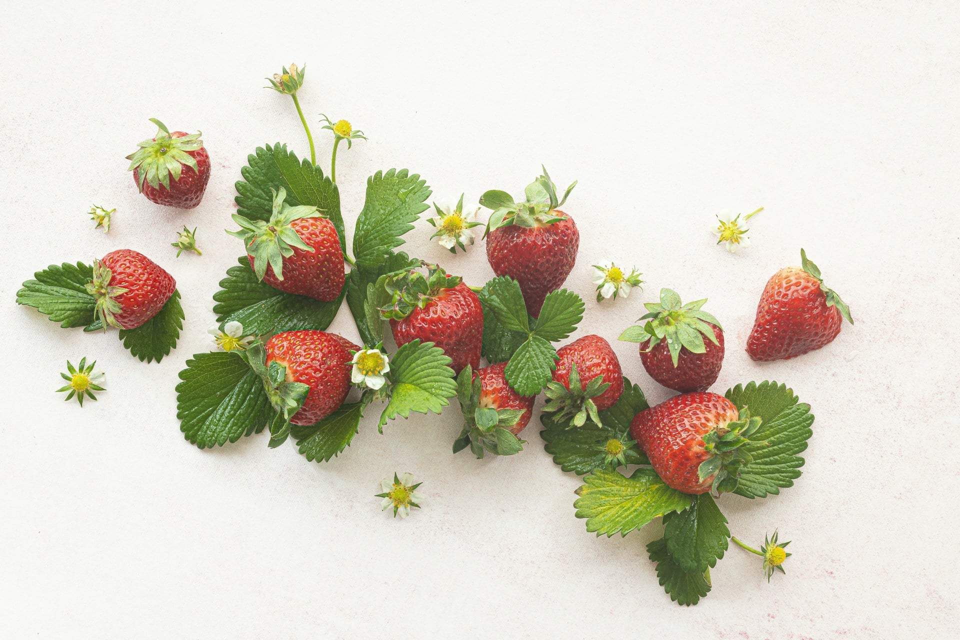 Why You Shouldn’t Toss Strawberry Leaves: Surprising Ways to Use Them — Lifestyle