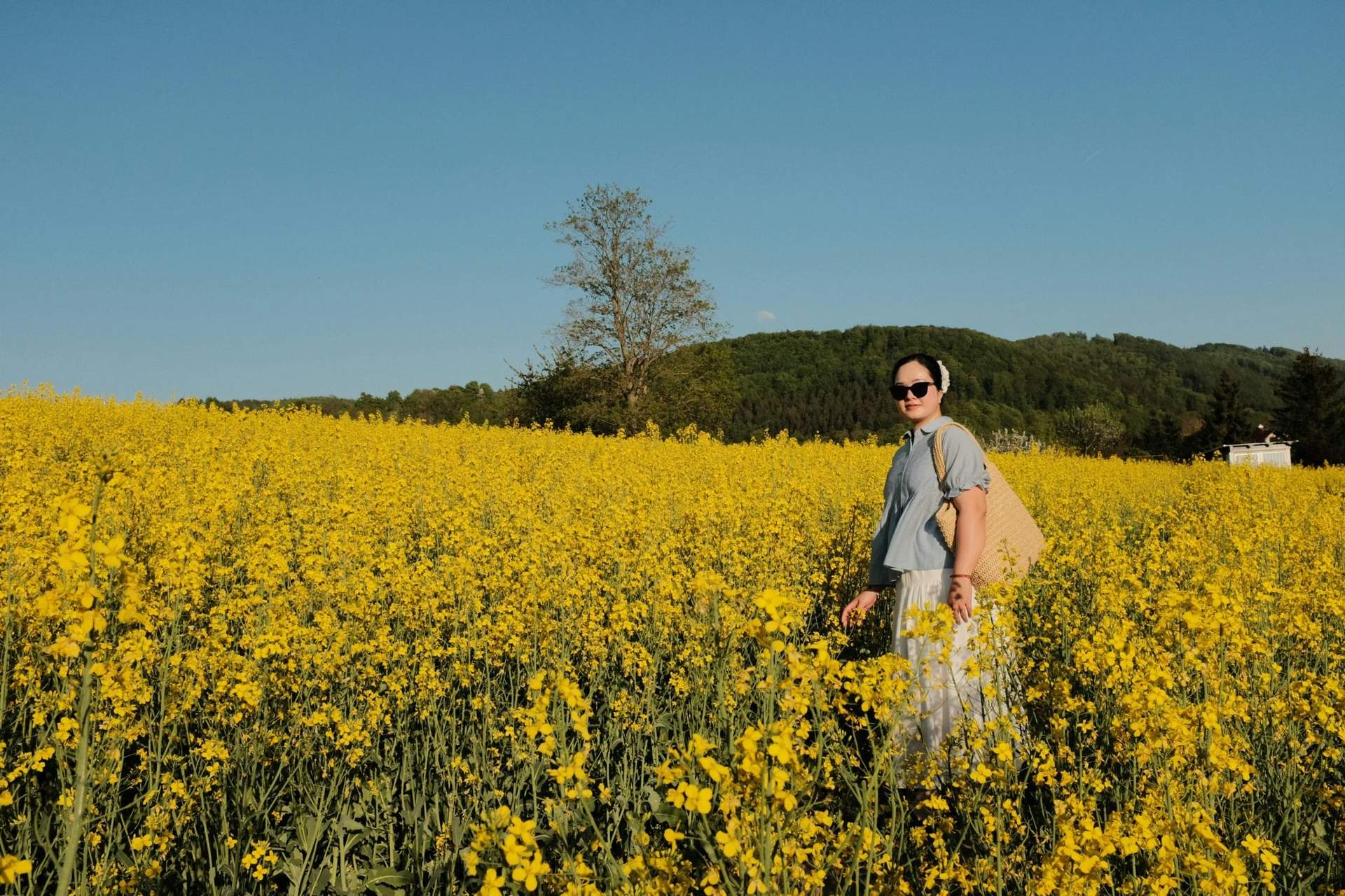 5 questions inspirantes à se poser lors d’une promenade — Mode de vie