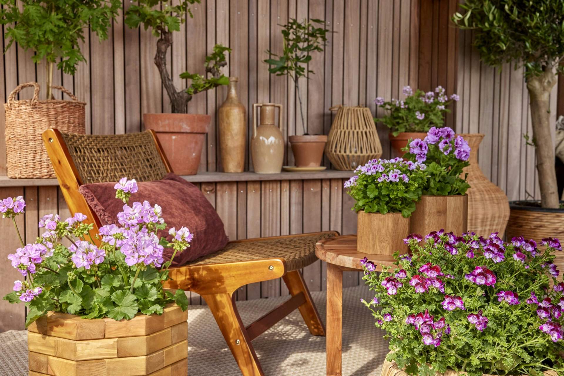 Sommerliche Leseecke im Garten – Tipps und Inspirationen — Deko