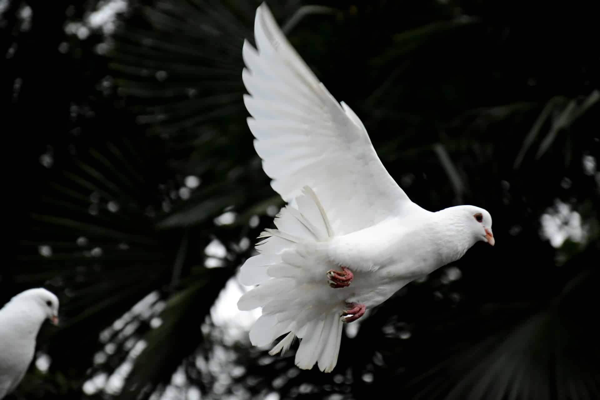 5 Compelling Proofs That the Spirit World Really Exists — Lifestyle