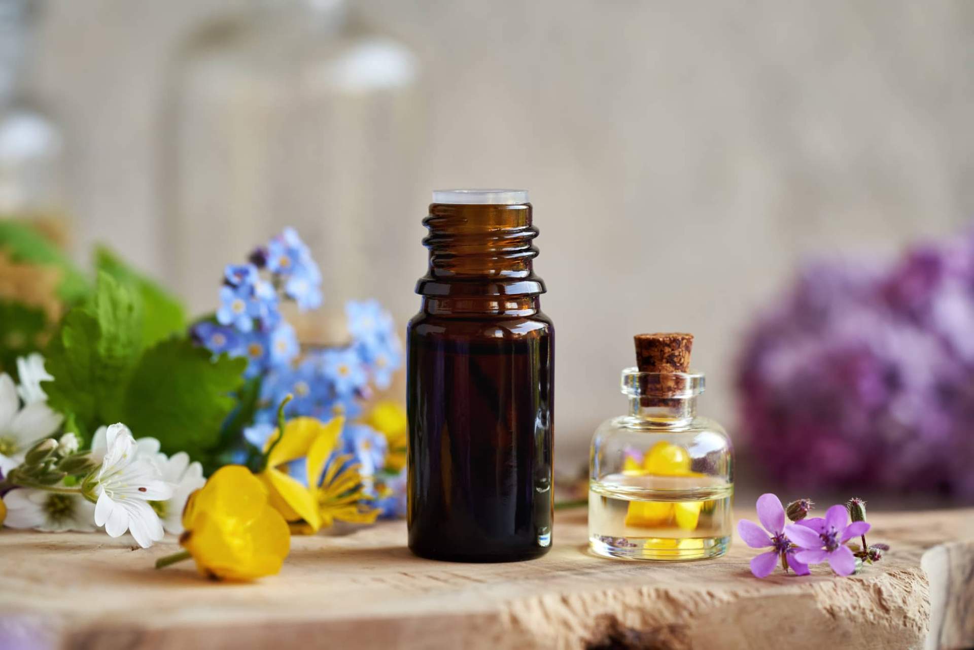 Repellenti naturali per zanzare: oli essenziali efficaci per proteggerti d’estate — Economia domestica