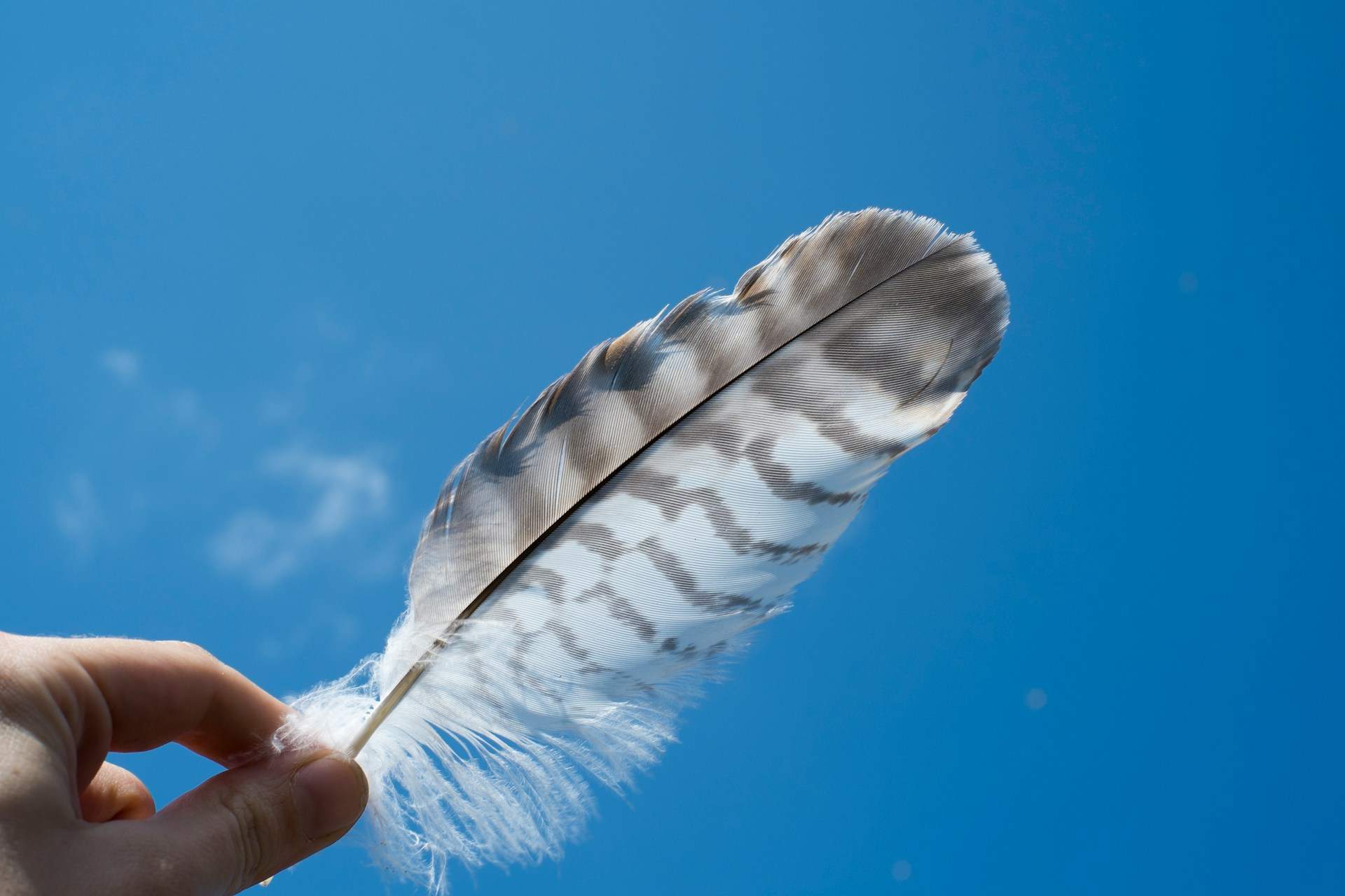 5 Signs the Universe Is Trying to Send You a Message — Lifestyle