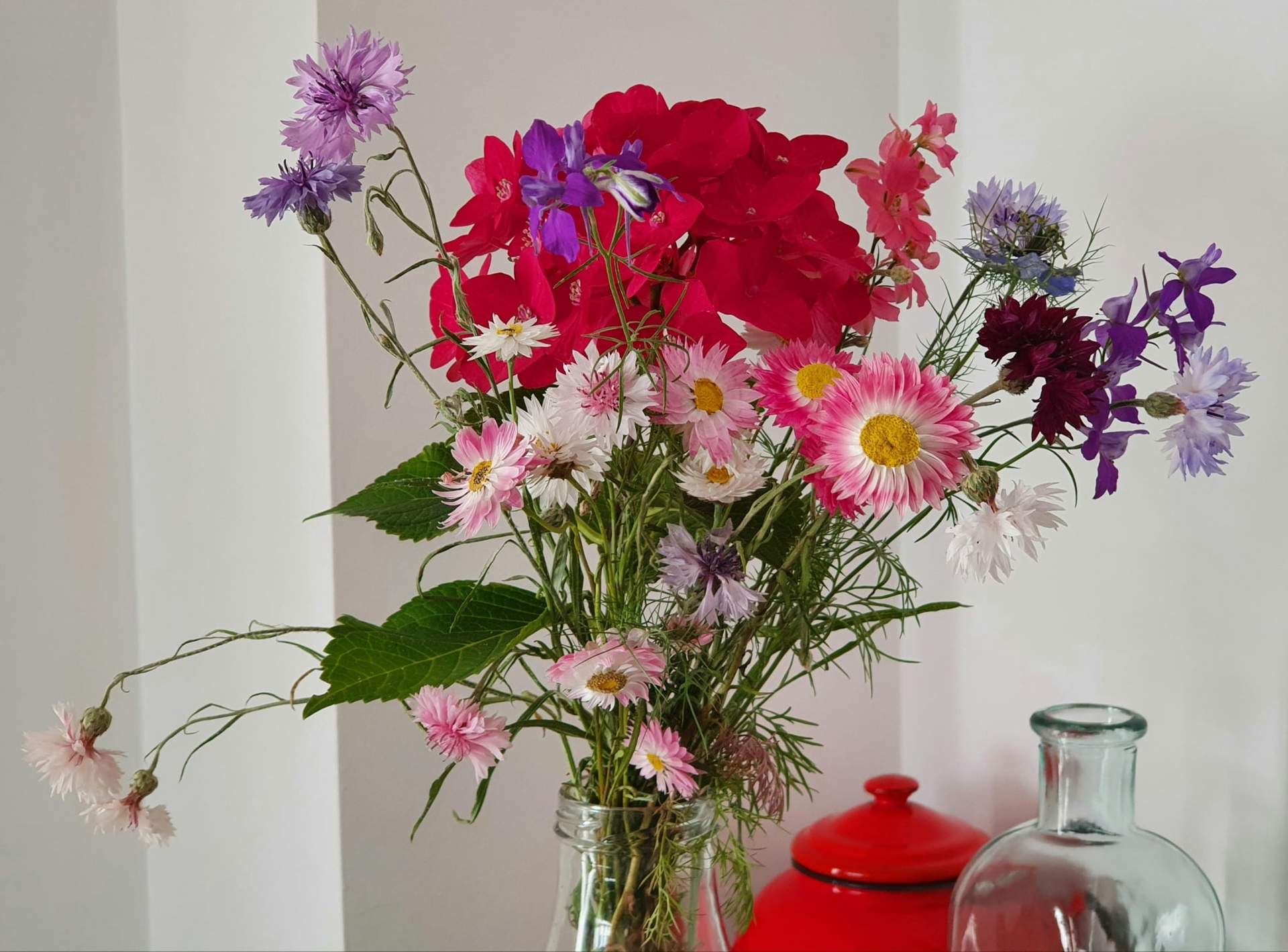 Choisis ces fleurs pour inviter plus d’énergie féminine dans ta vie — Mode de vie
