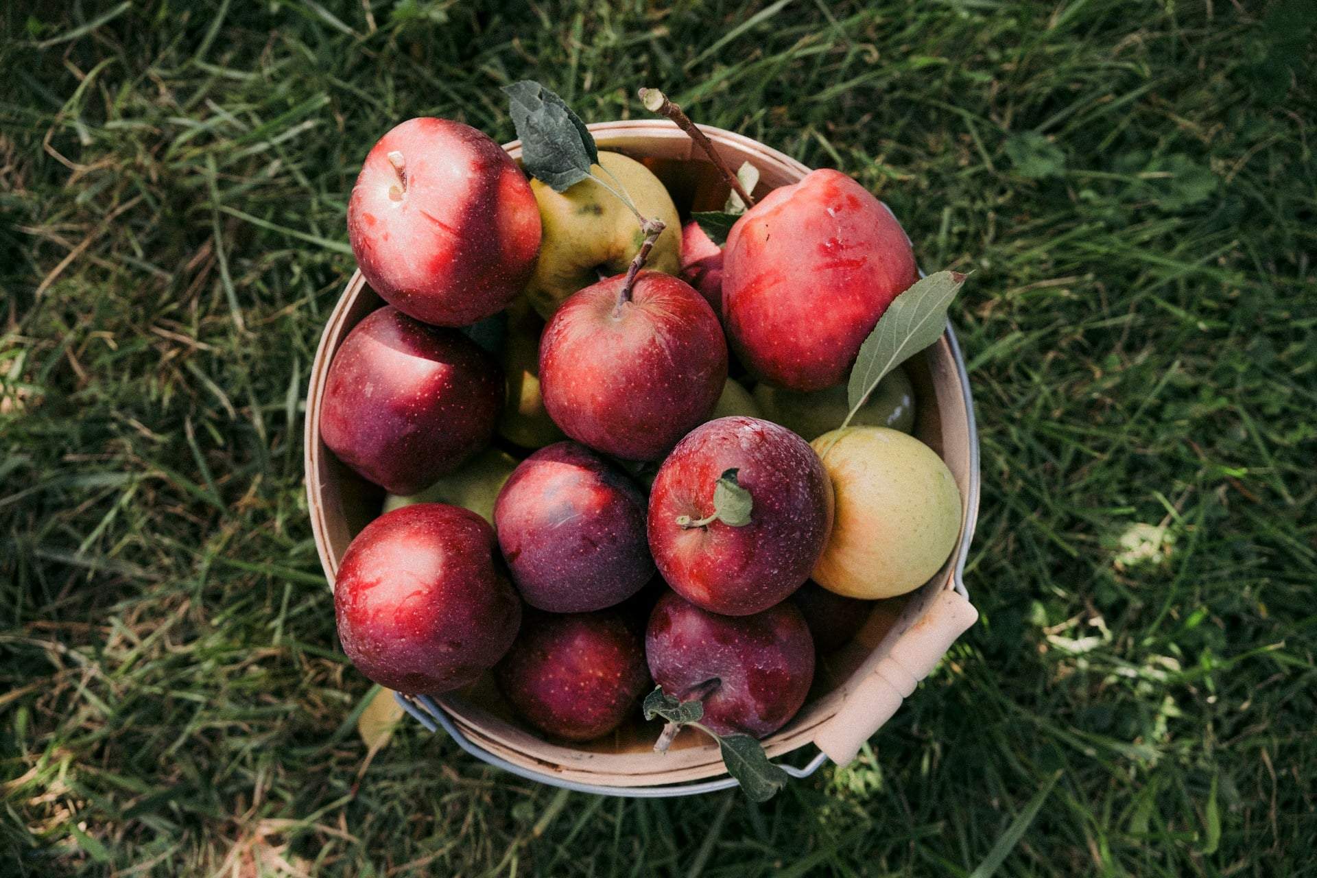 Stagione delle mele! Ecco cosa succede al tuo corpo se mangi una mela ogni giorno a settembre — Lifestyle