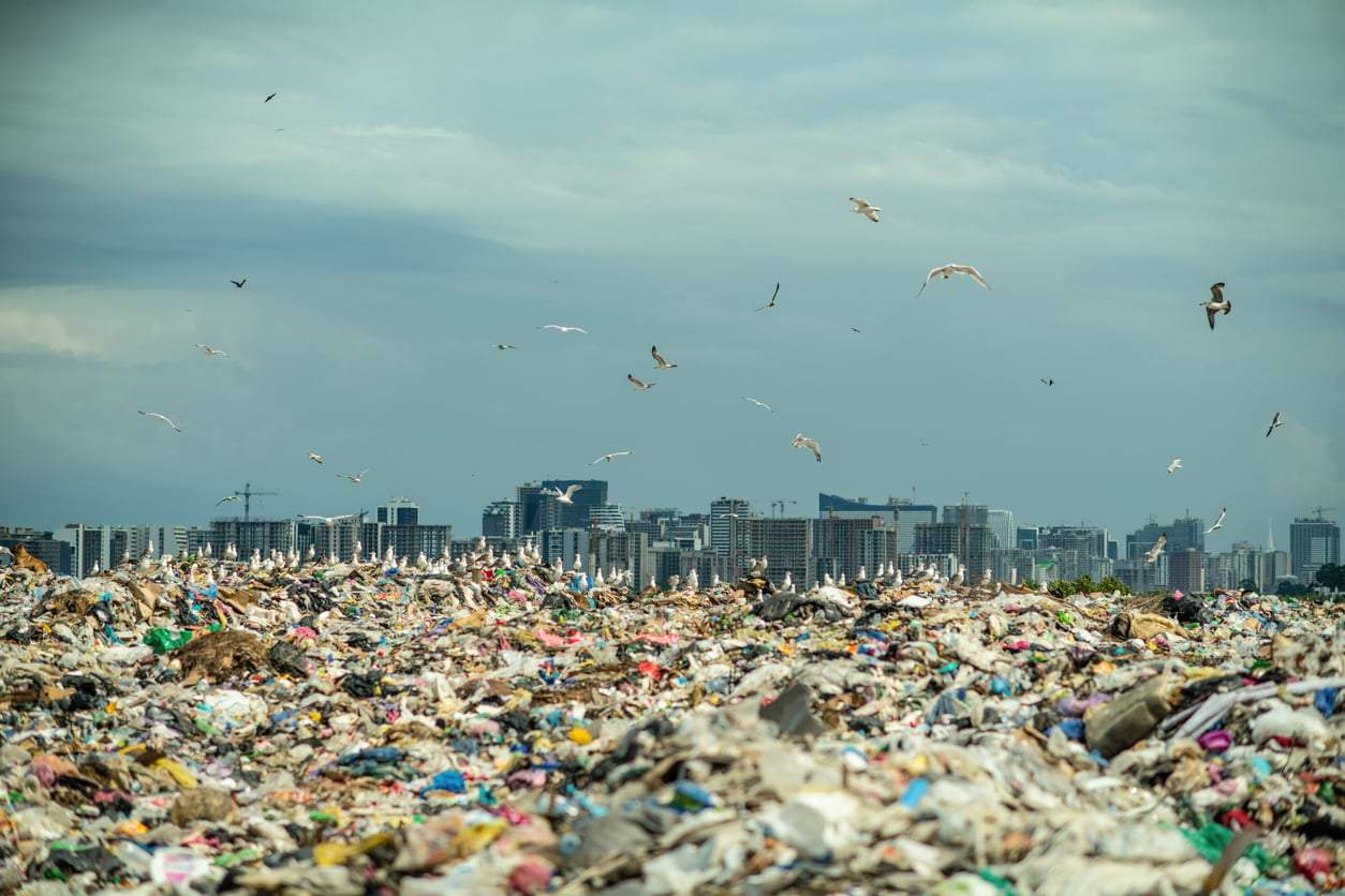Incroyable : il y a désormais plus de plastique que de biomasse vivante sur Terre — Loisirs