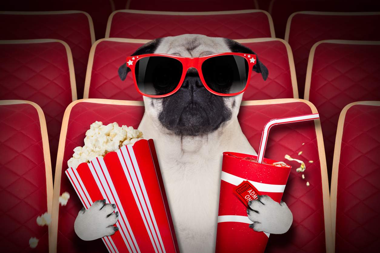 In Inghilterra è ormai normale andare al cinema con il cane – Aspettiamo che arrivi la moda? — Tempo libero