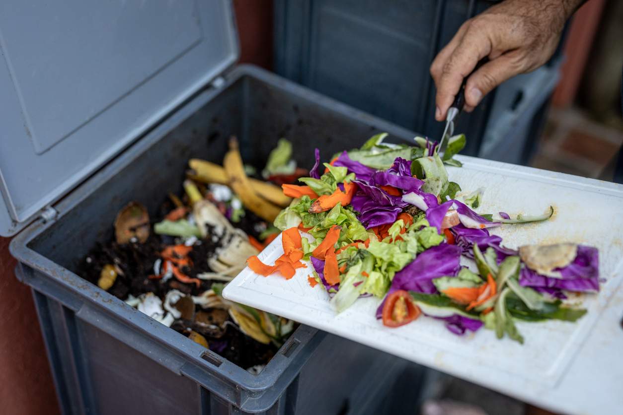 Compostage sans jardin : comment faire chez soi ou sur la terrasse — Ménage