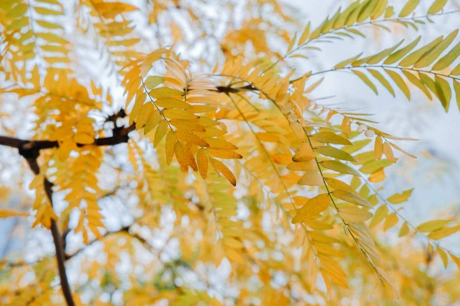 Horoscope du jour 6 octobre : prépare-toi à une journée d’humeurs changeantes — Horoscope quotidien