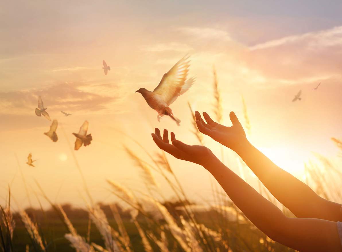 Qu’est-ce qu’un ange terrestre, et en as-tu un dans ta vie ? — Mode de vie