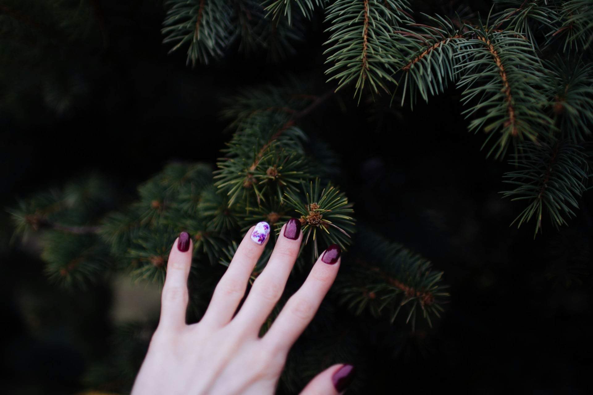 Queste manicure festive portano la magia del Natale alle tue unghie — Stile