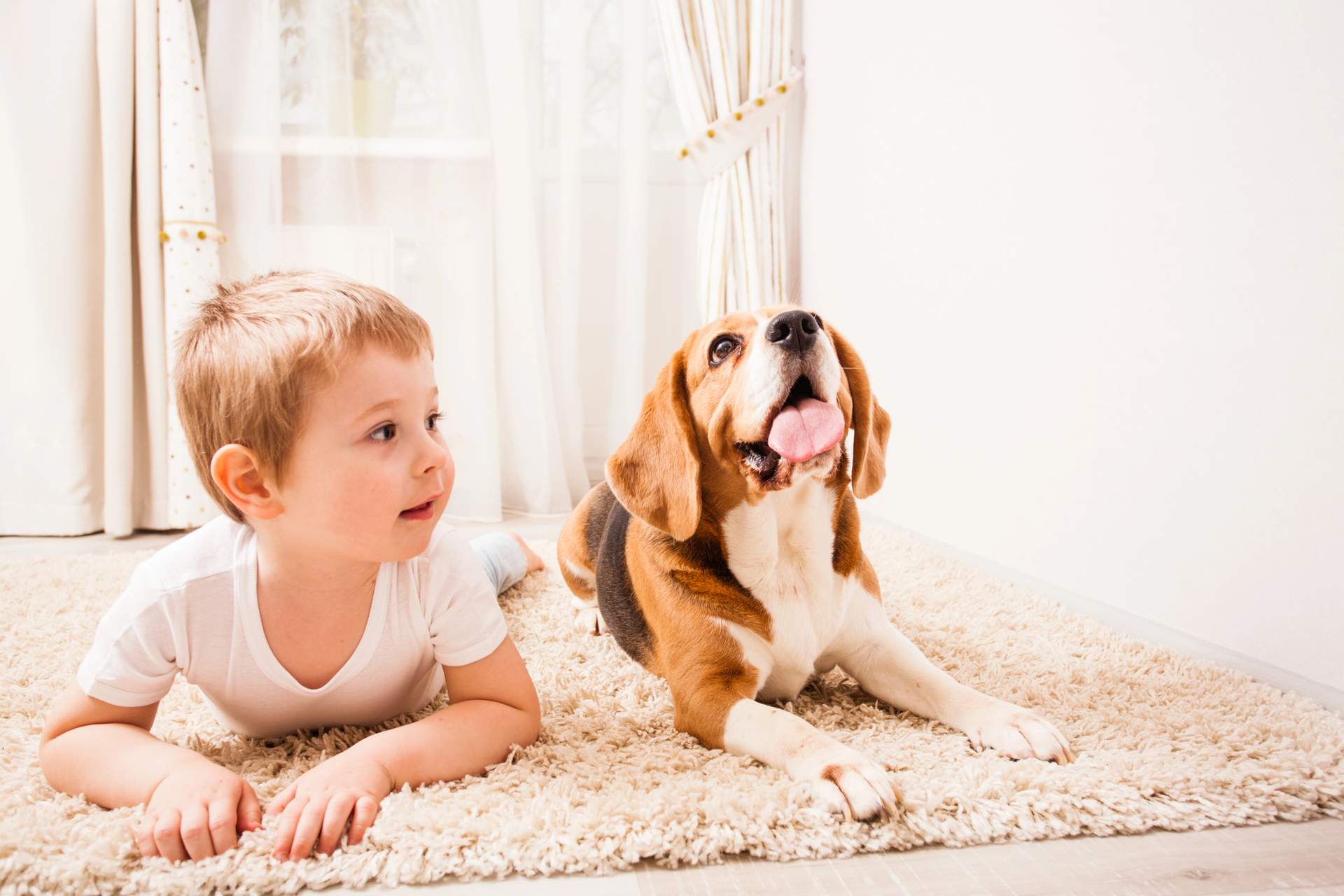 Il legame speciale tra cane e bambino: quando il pet diventa un vero supporto emotivo — Famiglia