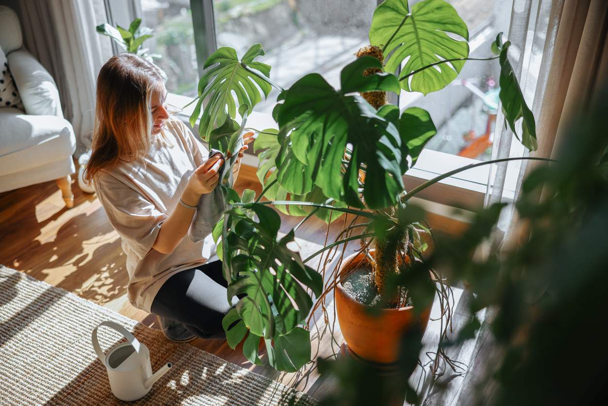 Selon ton signe astrologique, voici les rituels de printemps qui te correspondent le mieux — Mode de vie