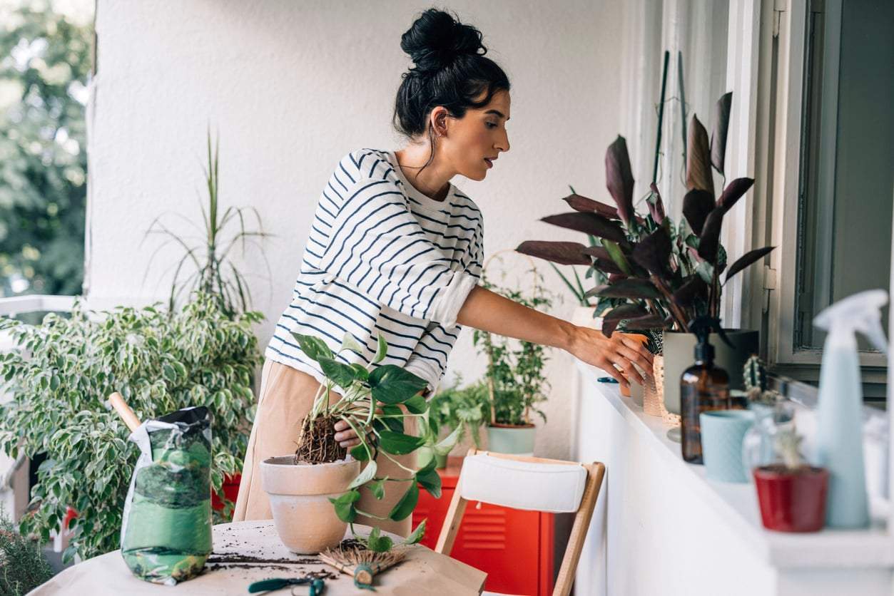 Le tue piante da balcone non crescono bene? 5 segnali che il terreno manca di nutrienti — Giardino e terrazza