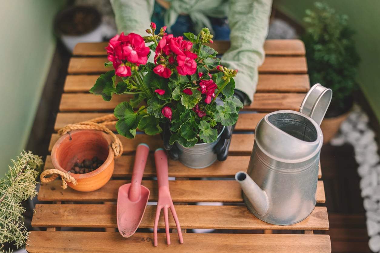 5 fantastische Pflanzen, die auch auf kleinem Balkon richtig Eindruck machen — Garten & Terrasse