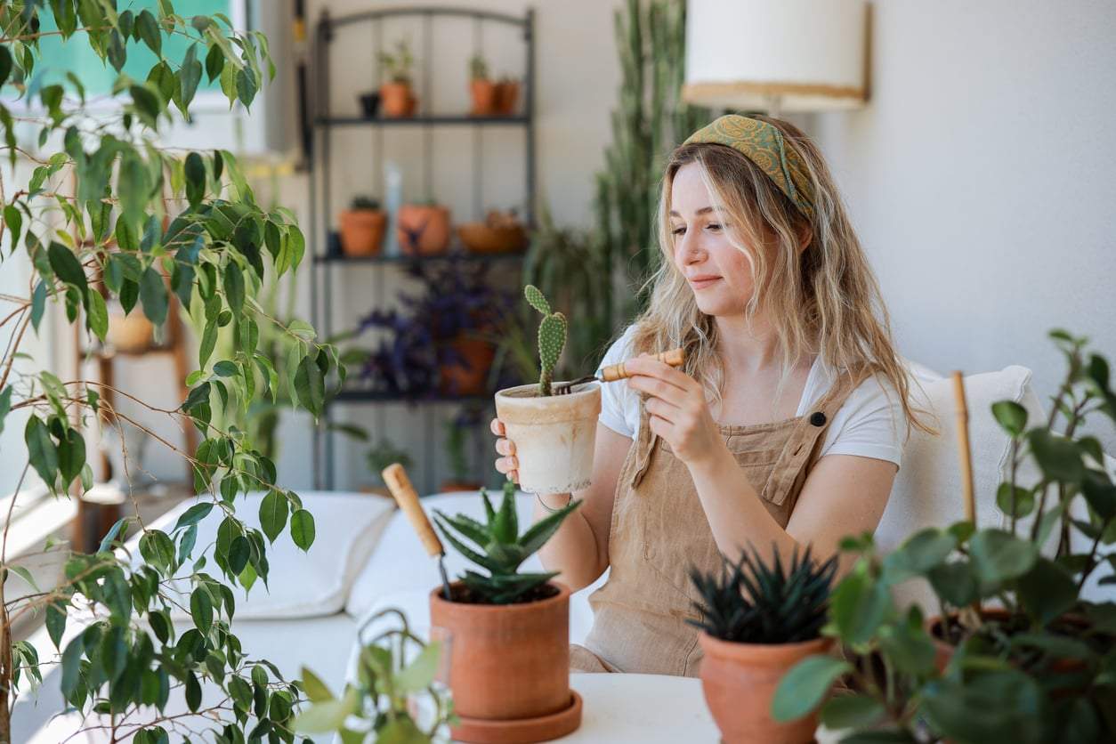 7 fiori bellissimi che fioriscono a lungo con poca cura — Arredo