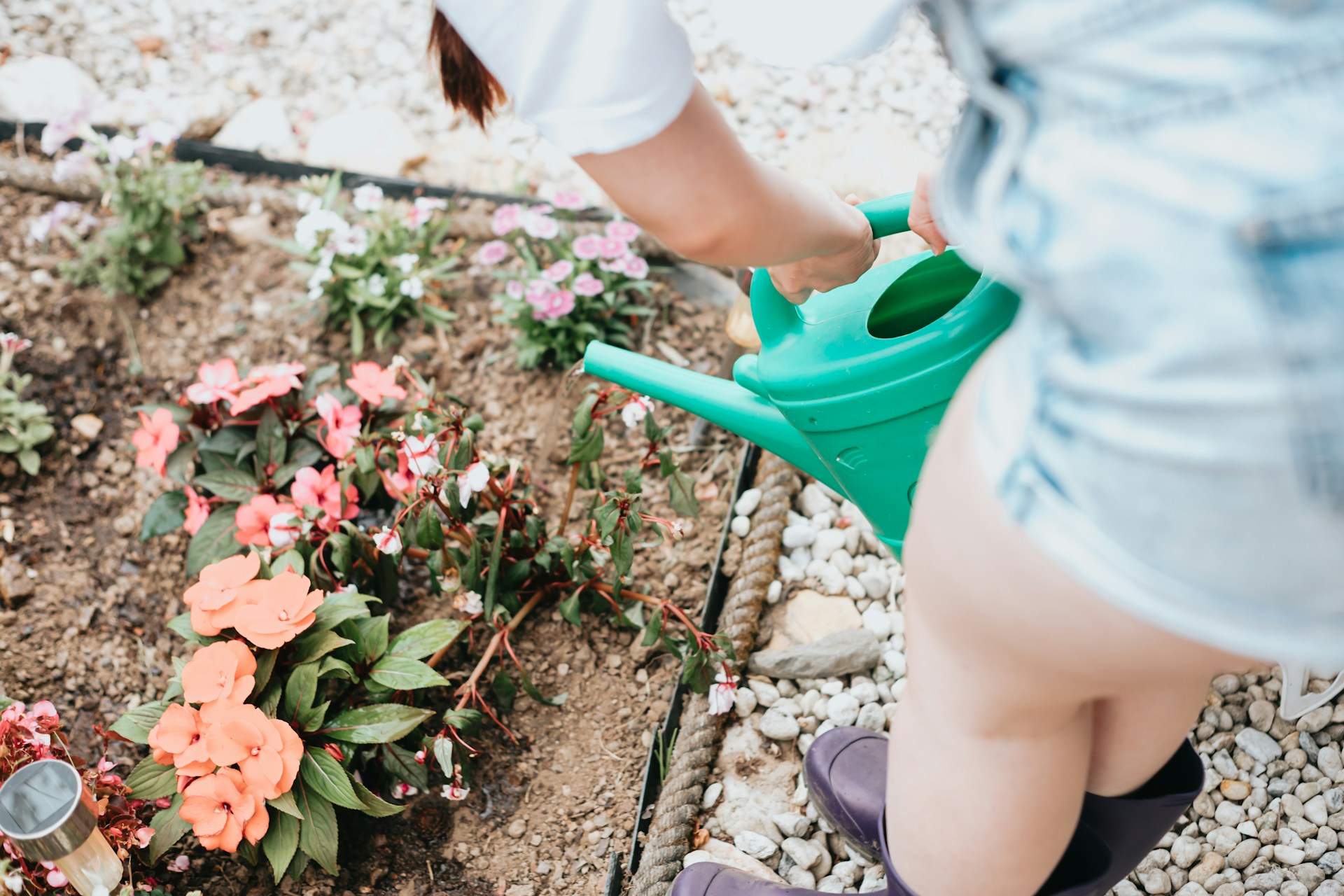 6 schlechte Gewohnheiten, die deinen Gartenpflanzen schaden – Zeit, sie zu stoppen — Hobby