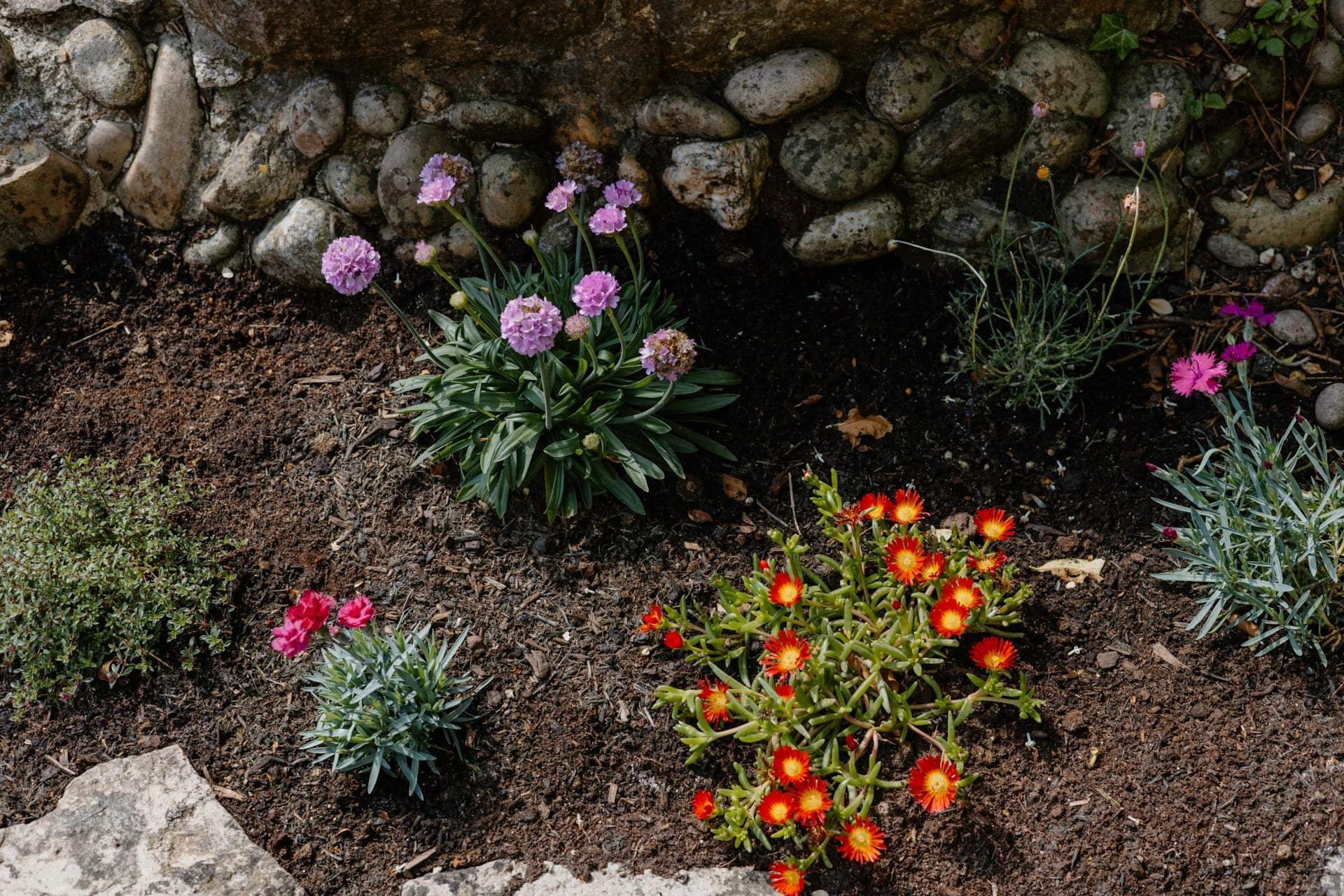 Cómo crear un jardín de rocas espectacular que todos envidiarán — Aficiones
