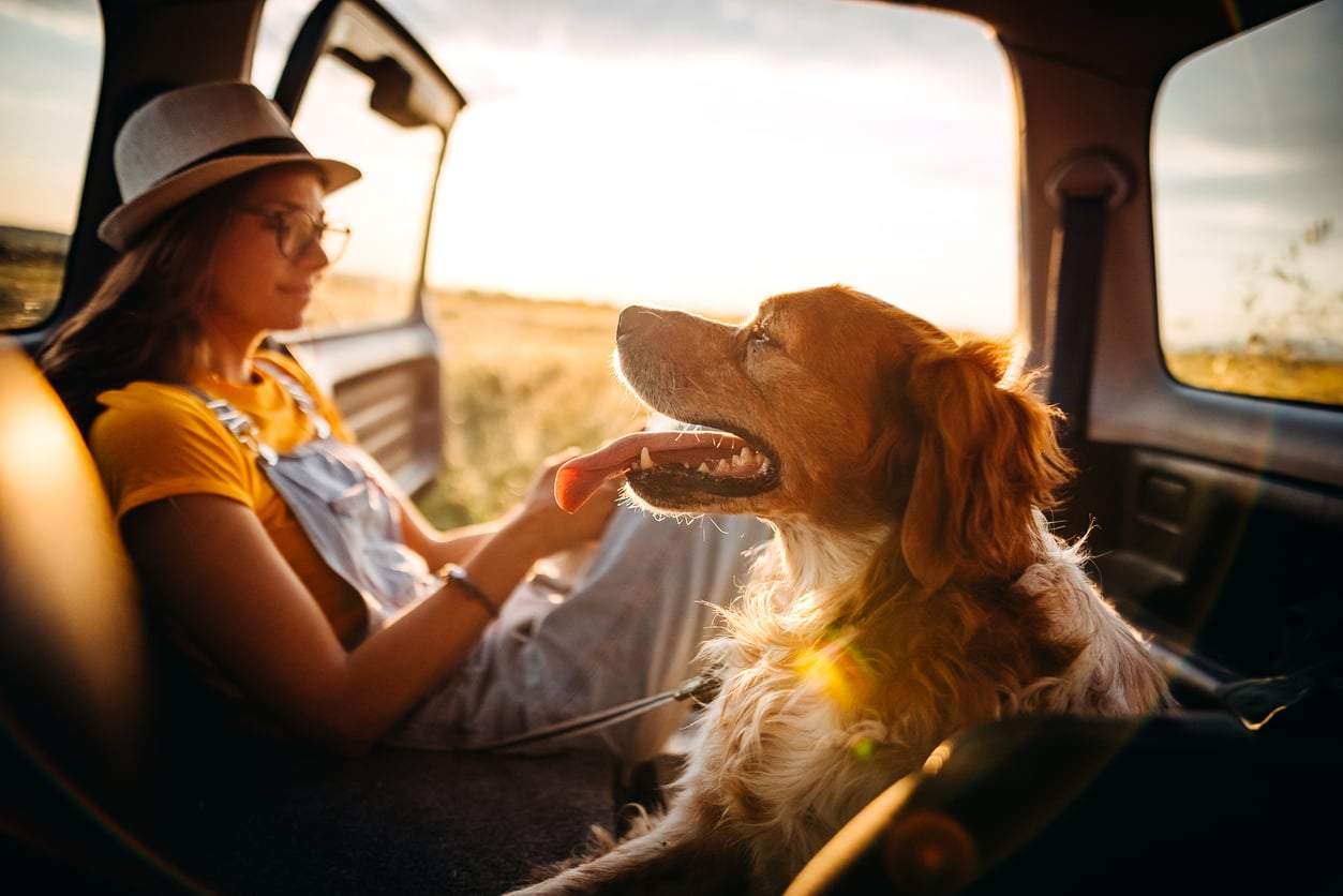 Si estas 5 cosas se aplican a ti, estás listo para tener una mascota — Familia