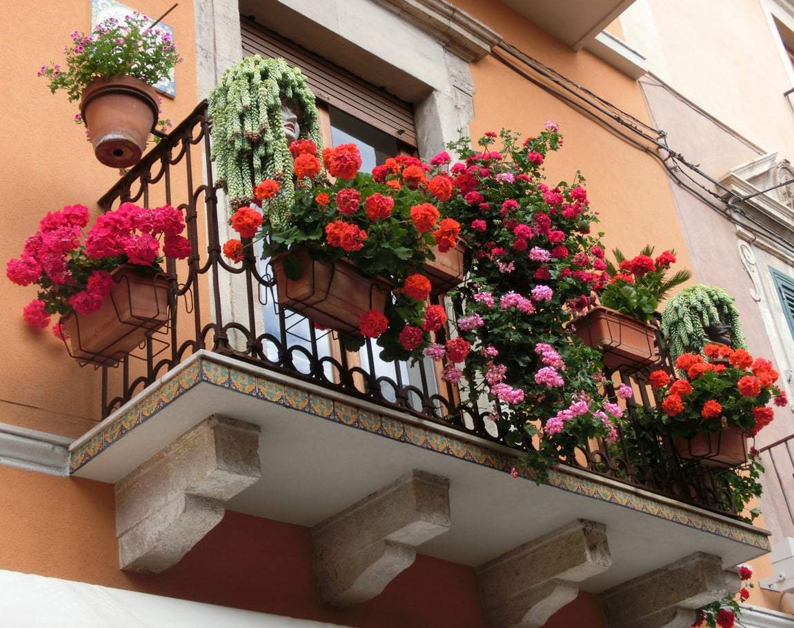 Jardín en el balcón: las plantas que mejor soportan el calor del verano — Jardín y terraza