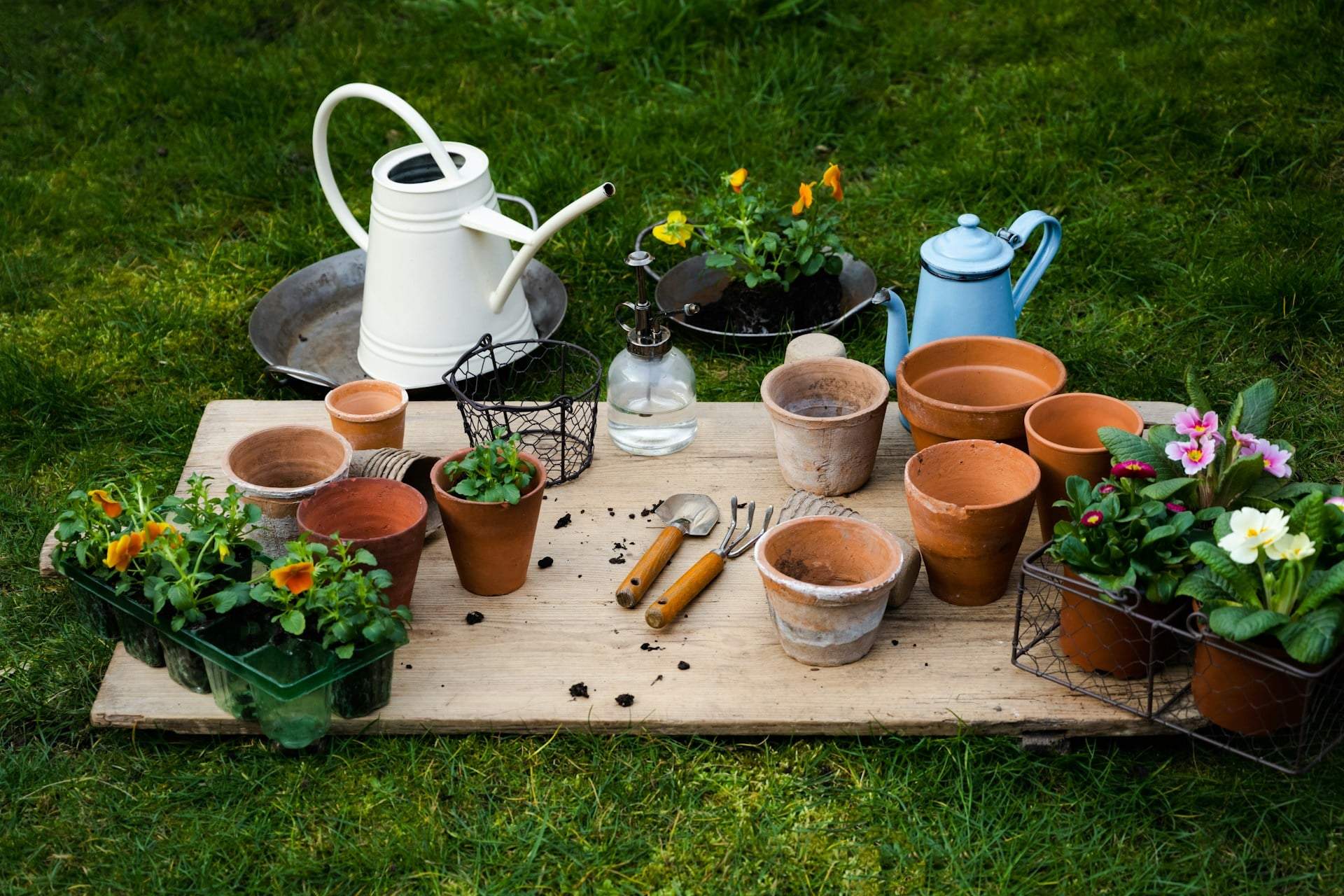 5 garden mistakes you can still fix in May — but most people only notice them in summer — Garden & terrace