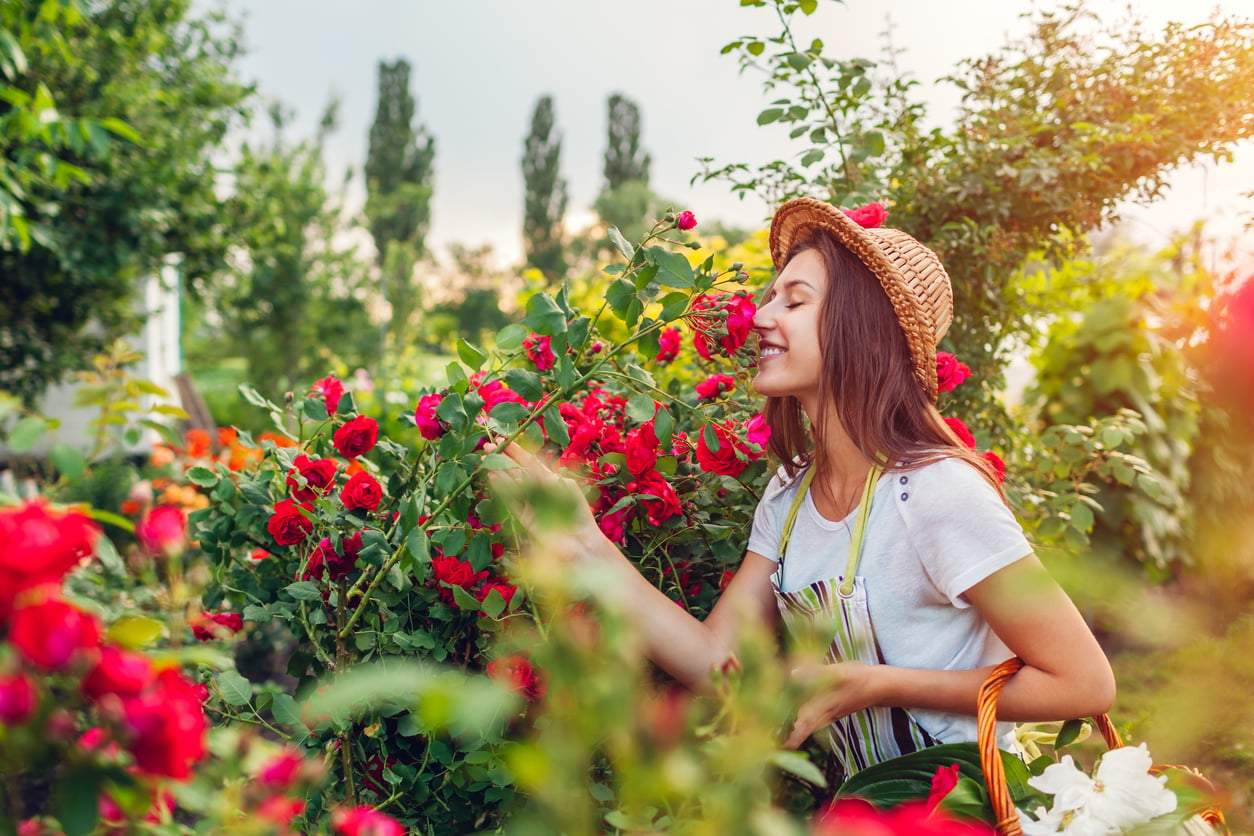 The "stop and smell the roses" trick that can genuinely transform your relationship — Relationship