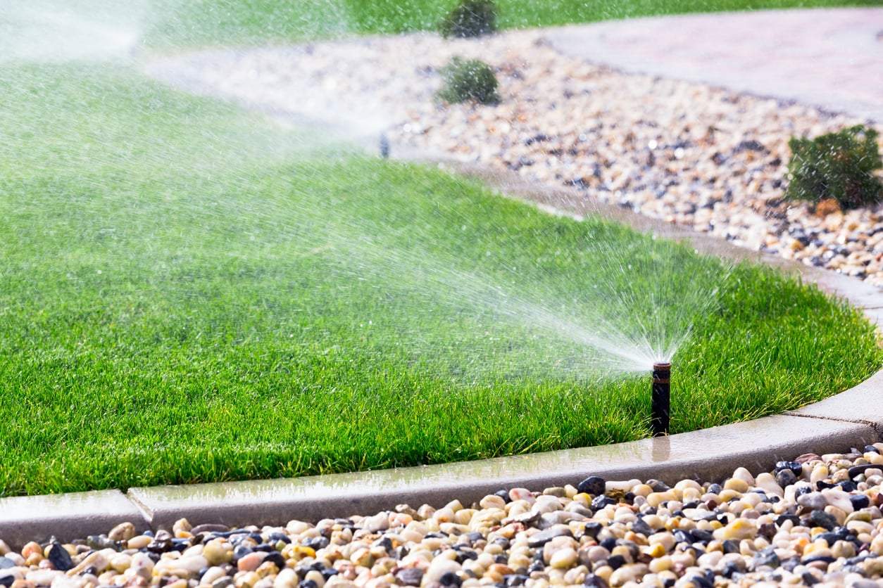 3 erreurs d'arrosage qui brûlent littéralement votre gazon en été — Jardin et terrasse