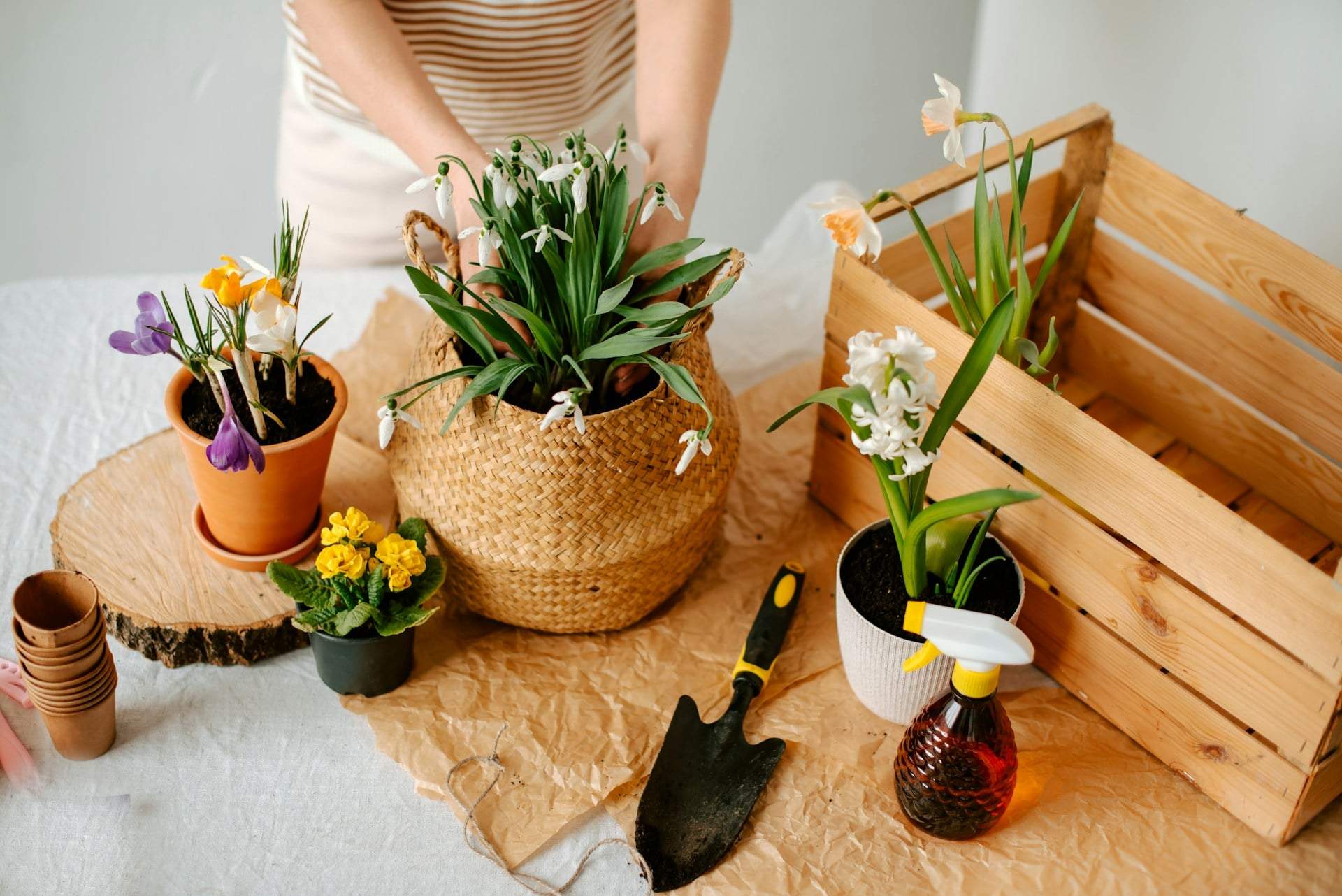 Running Low on Potting Soil? 5 Things You Can Layer at the Bottom of a Large Planter — Garden & terrace