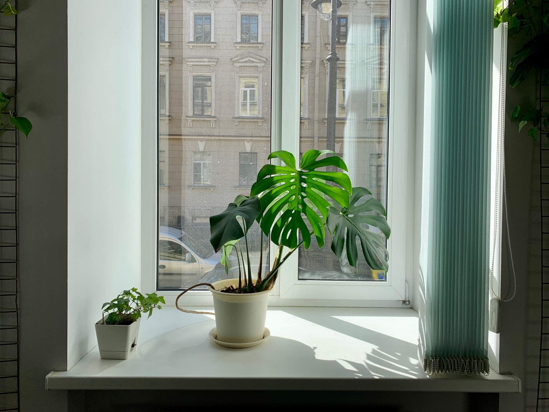 No air conditioning? These 7 simple tricks keep your home cool anyway — Household