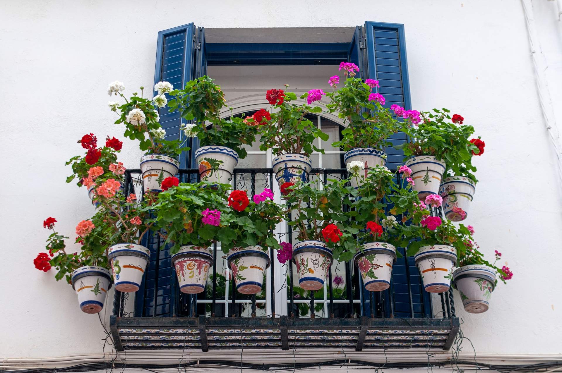 20 balcony plants that thrive on neglect, even through a scorching summer — Garden & terrace